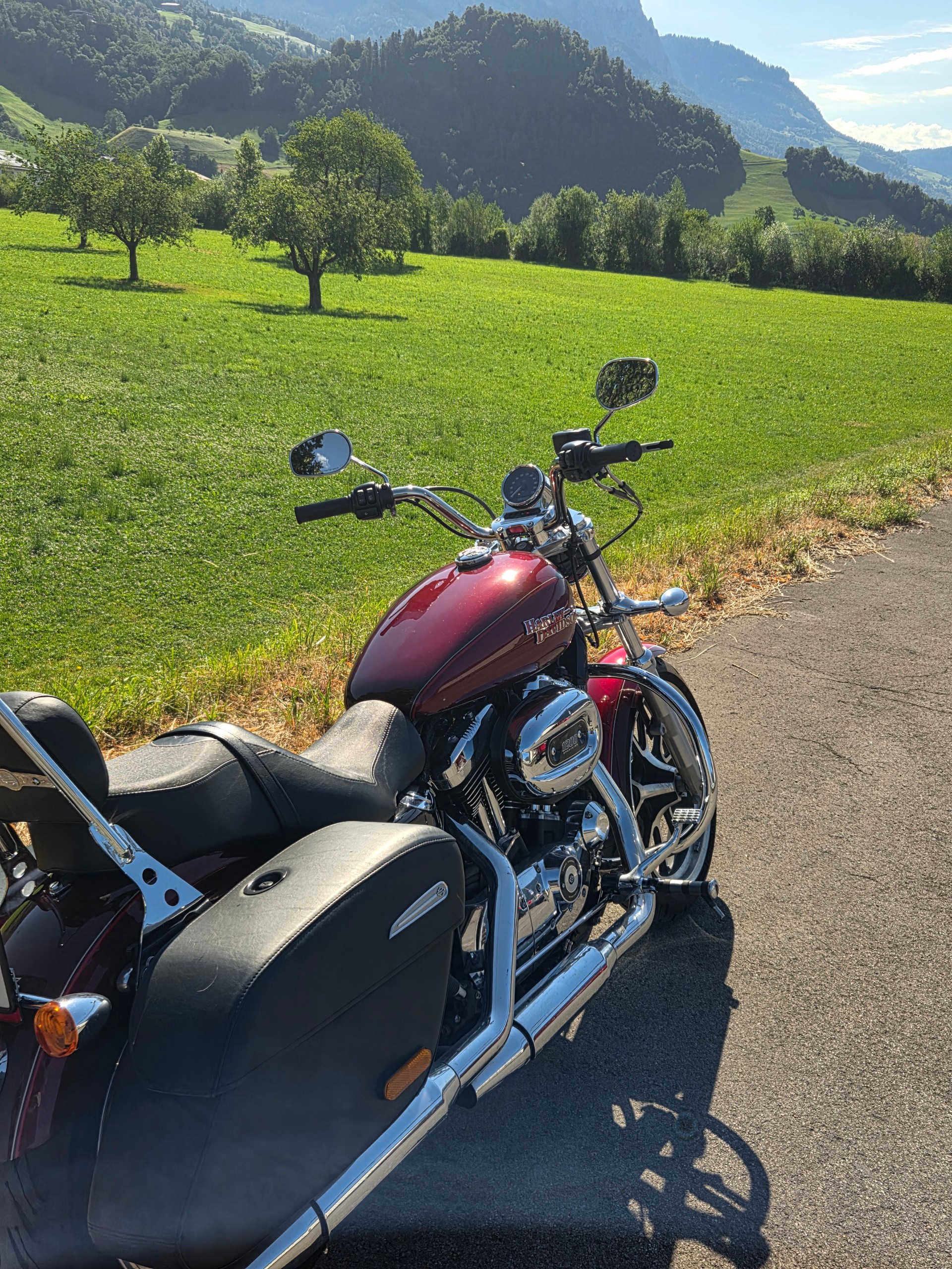 HARLEY-DAVIDSON Sportster-image-1