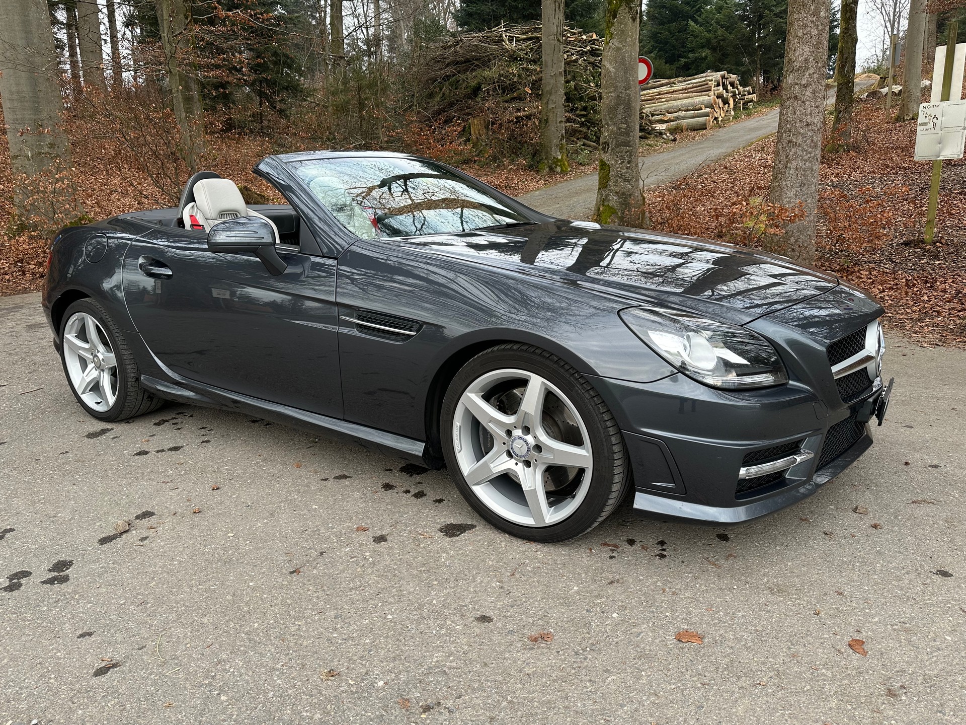 MERCEDES-BENZ SLK 250 AMG Paket-image-2