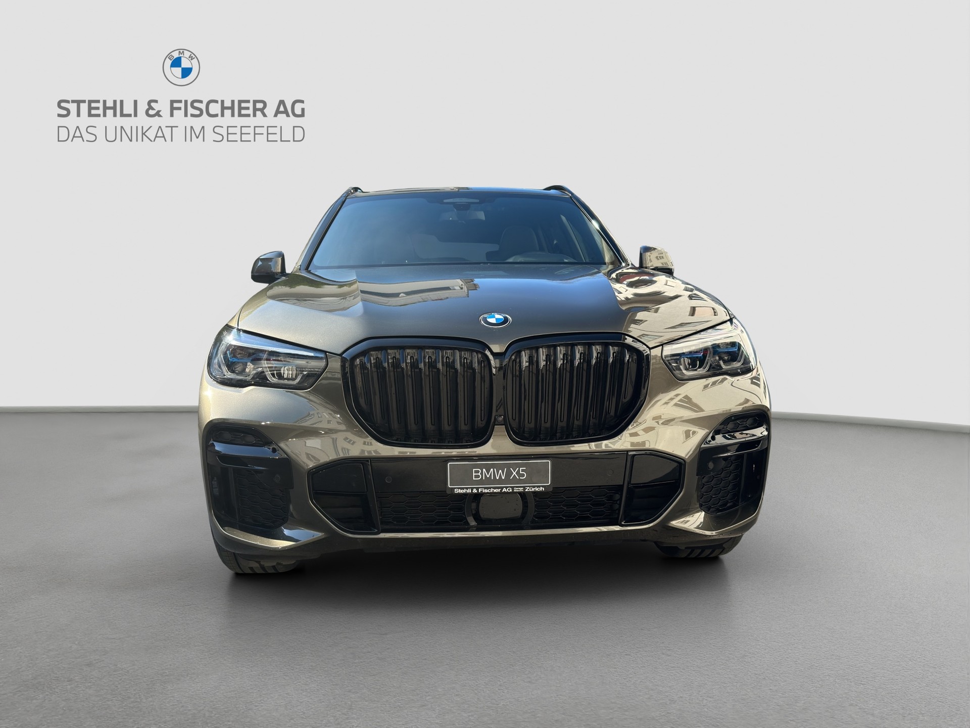 BMW X5 xDrive 48V 40d M Sport Steptronic-showroom-element-2