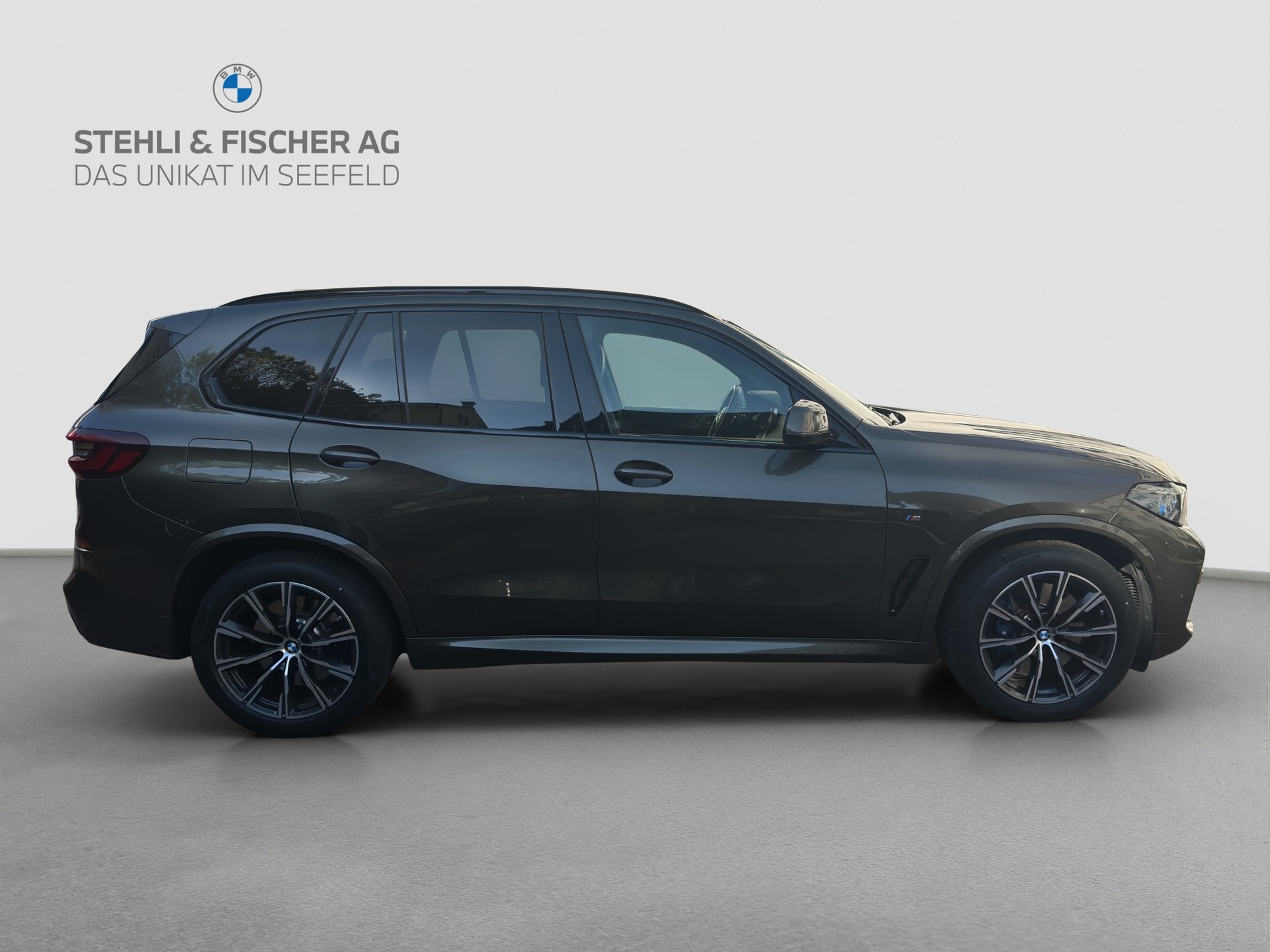 BMW X5 xDrive 48V 40d M Sport Steptronic-image-8