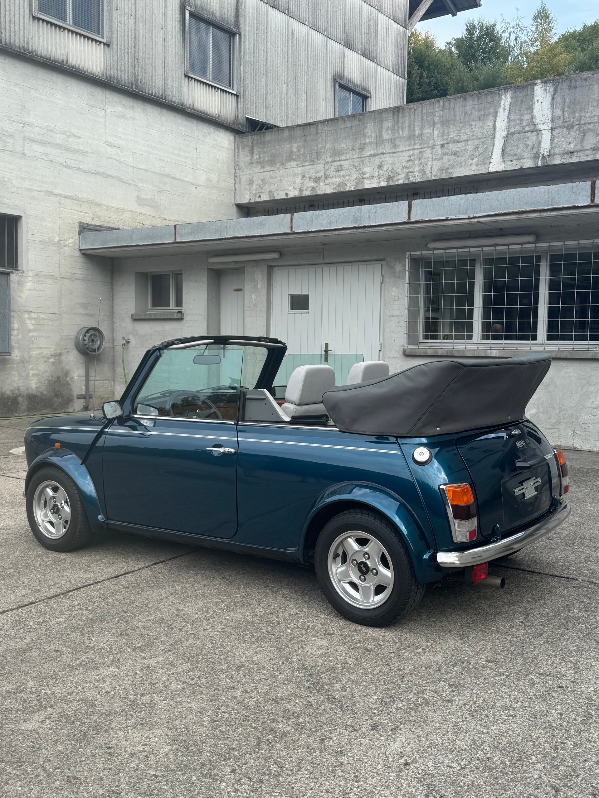 MINI Lamm Cabrio-image-13