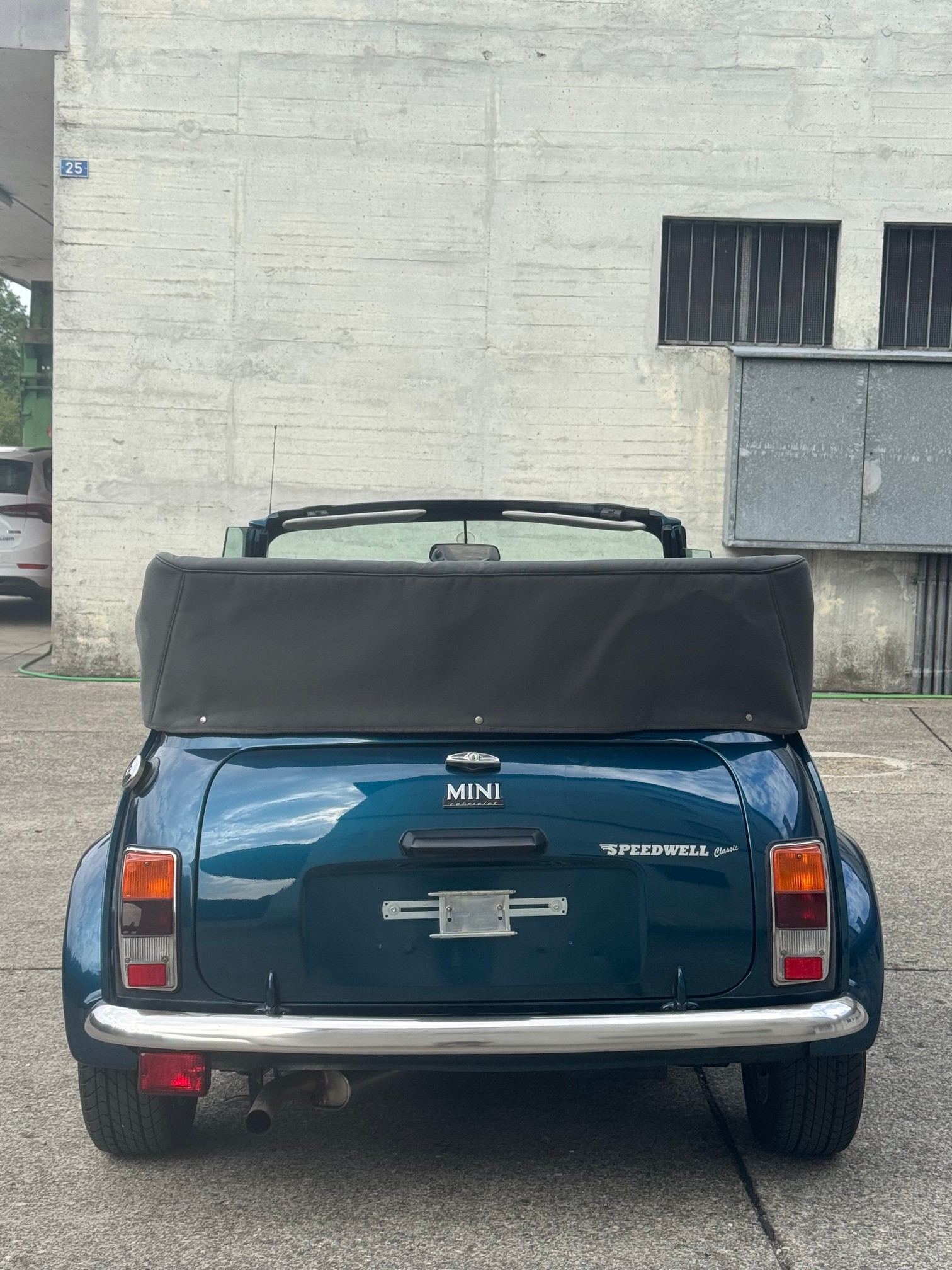 MINI Lamm Cabrio-image-14