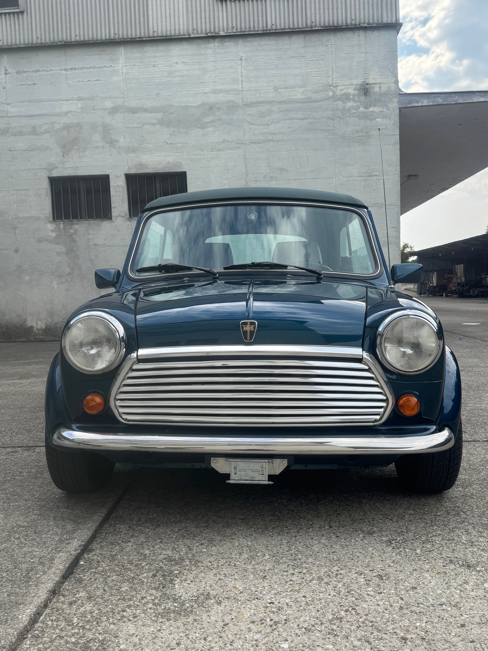 MINI Lamm Cabrio-image-8