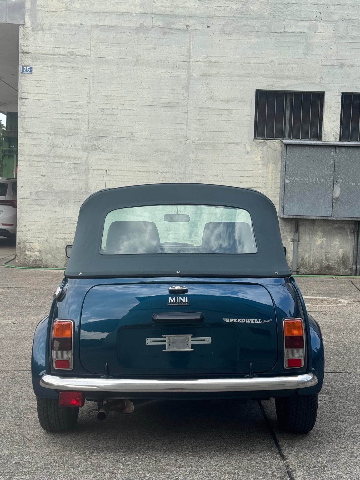 MINI Lamm Cabrio-image-4