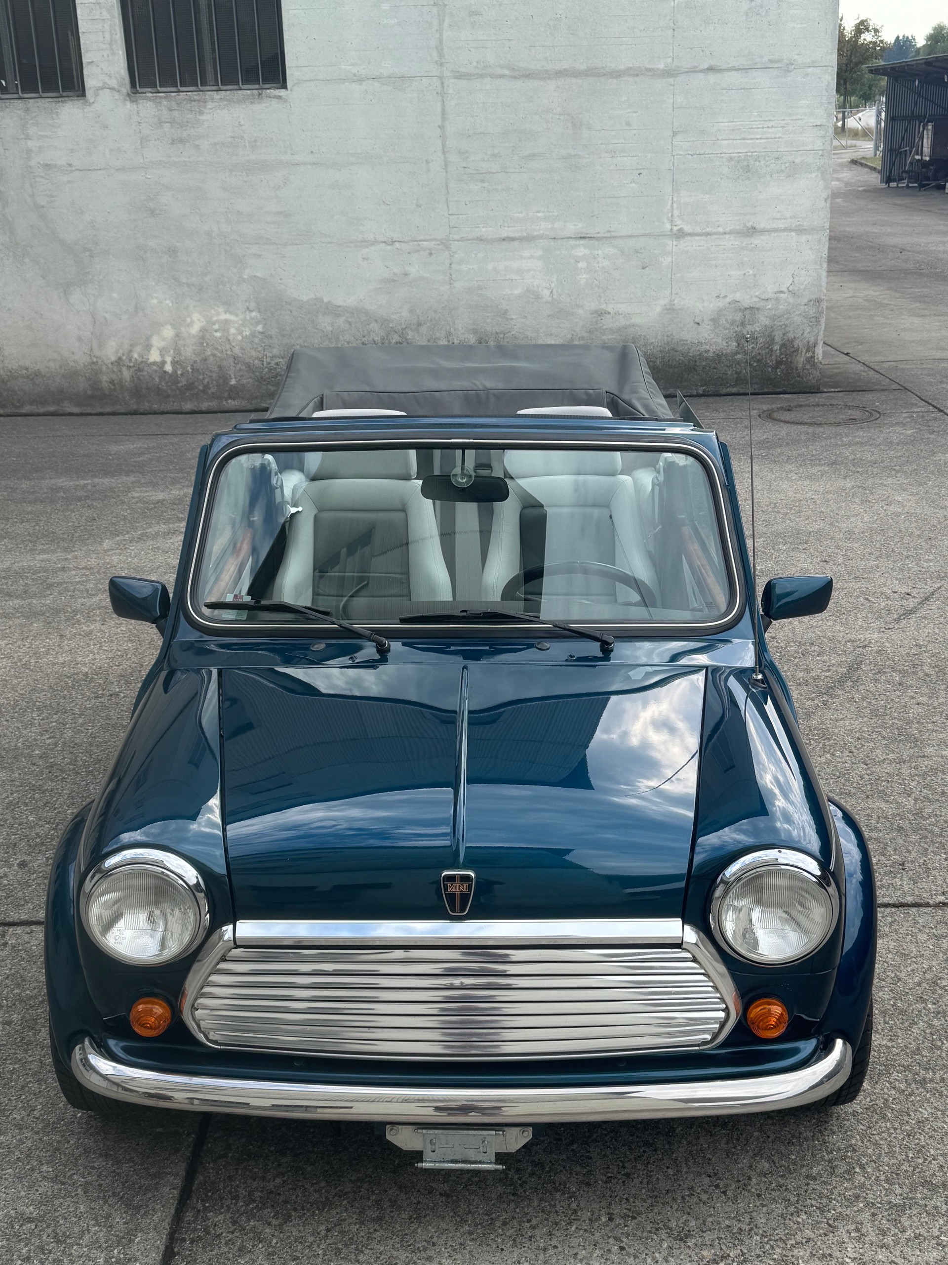 MINI Lamm Cabrio-image-10