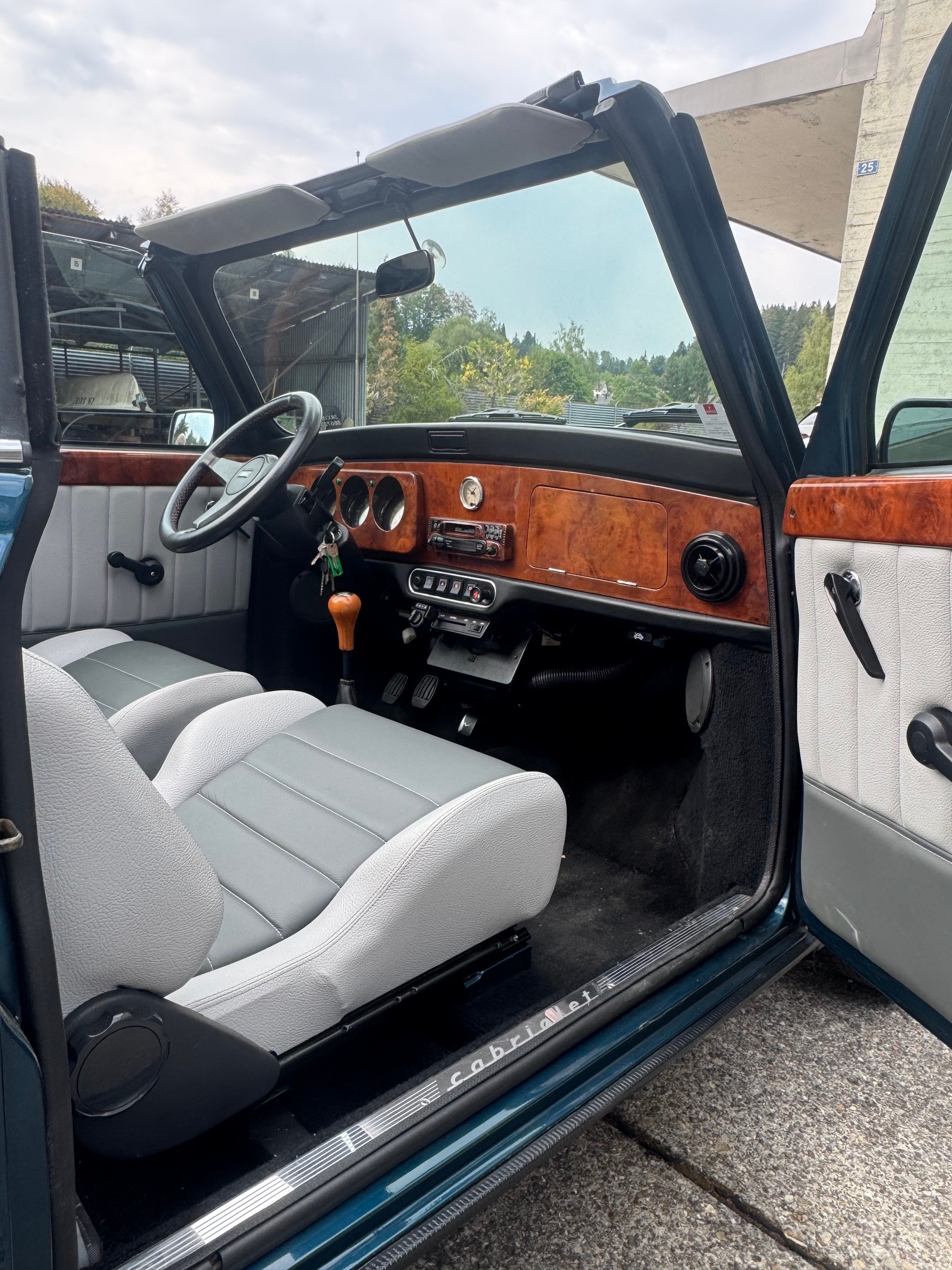 MINI Lamm Cabrio-image-19