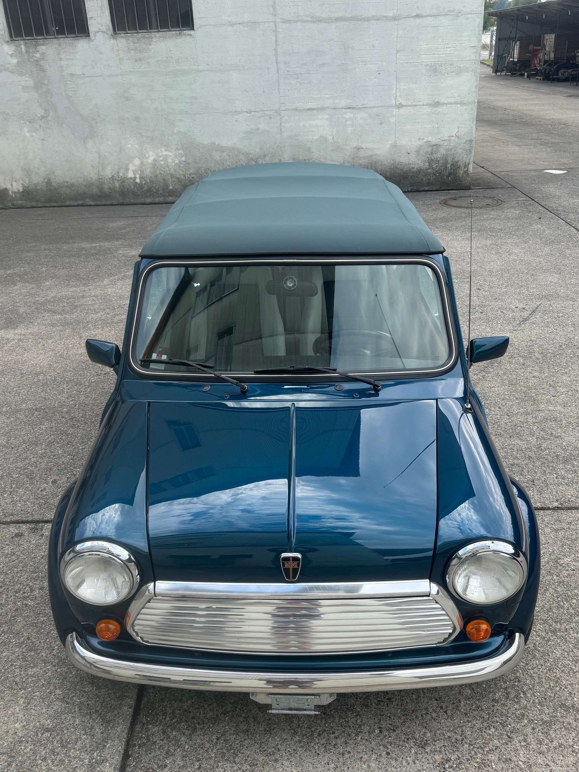 MINI Lamm Cabrio-image-7