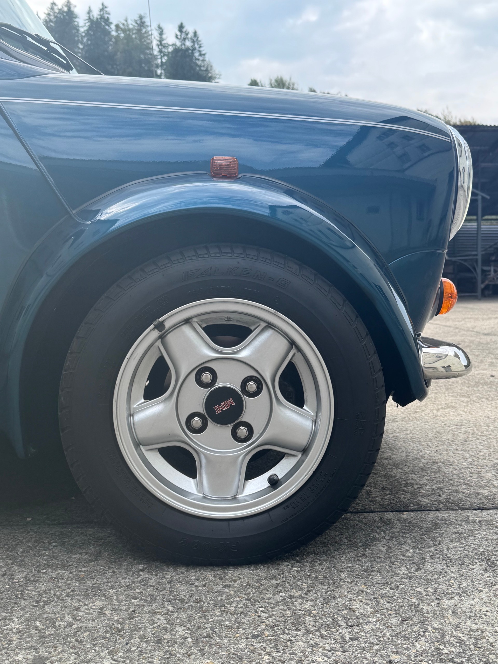 MINI Lamm Cabrio-image-20