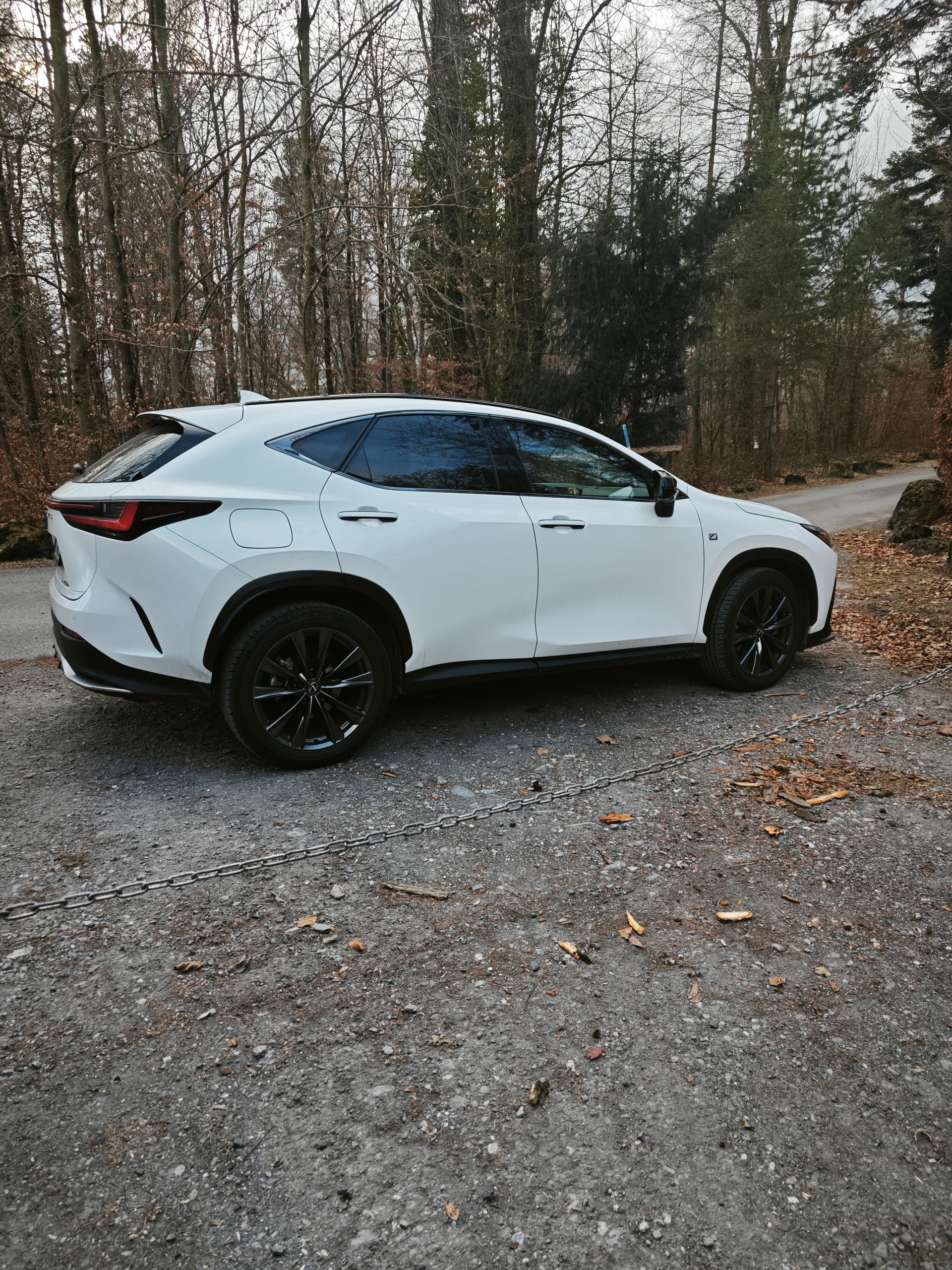 LEXUS NX 450+ F-Sport 4WD-image-2
