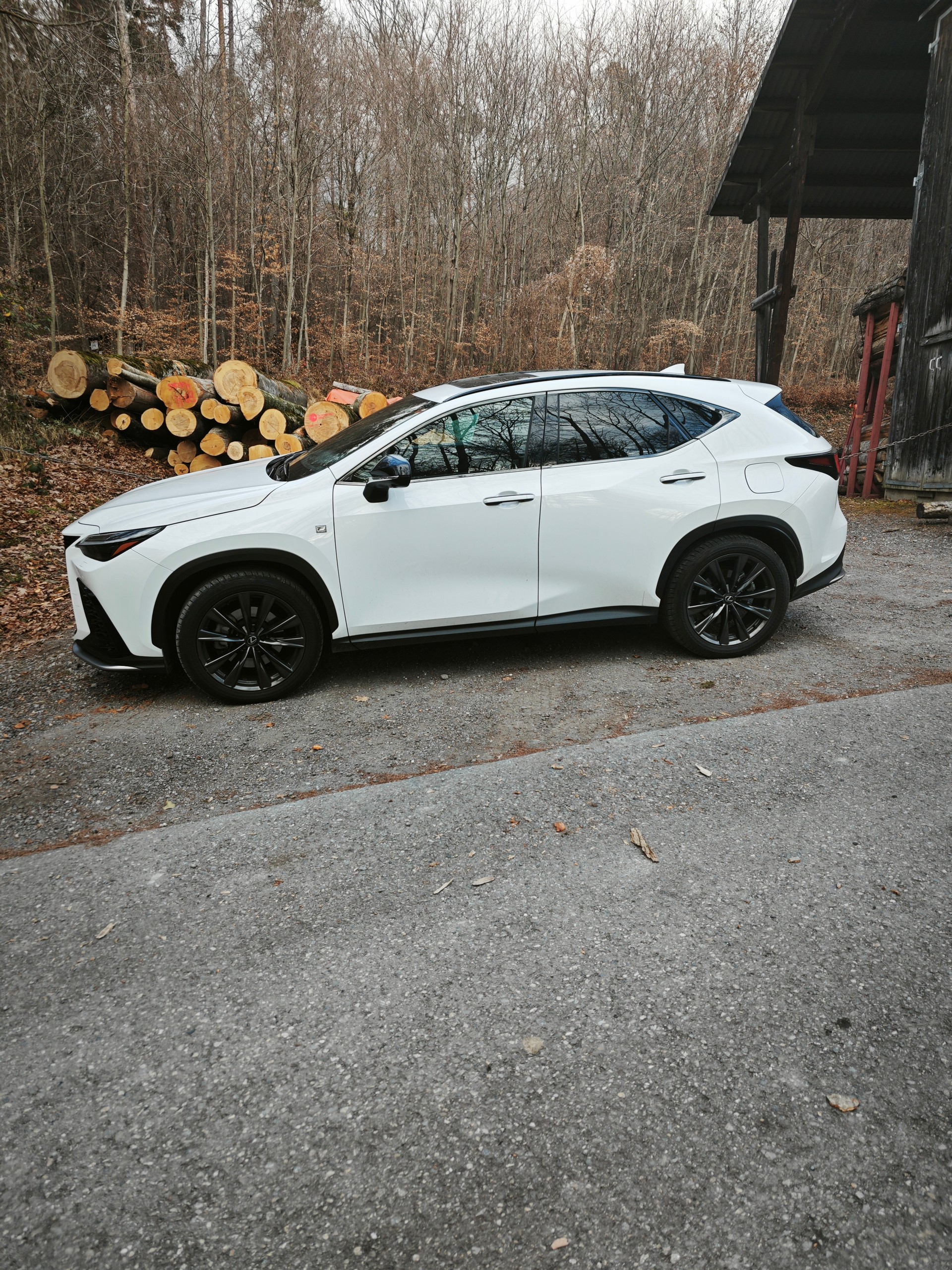 LEXUS NX 450+ F-Sport 4WD