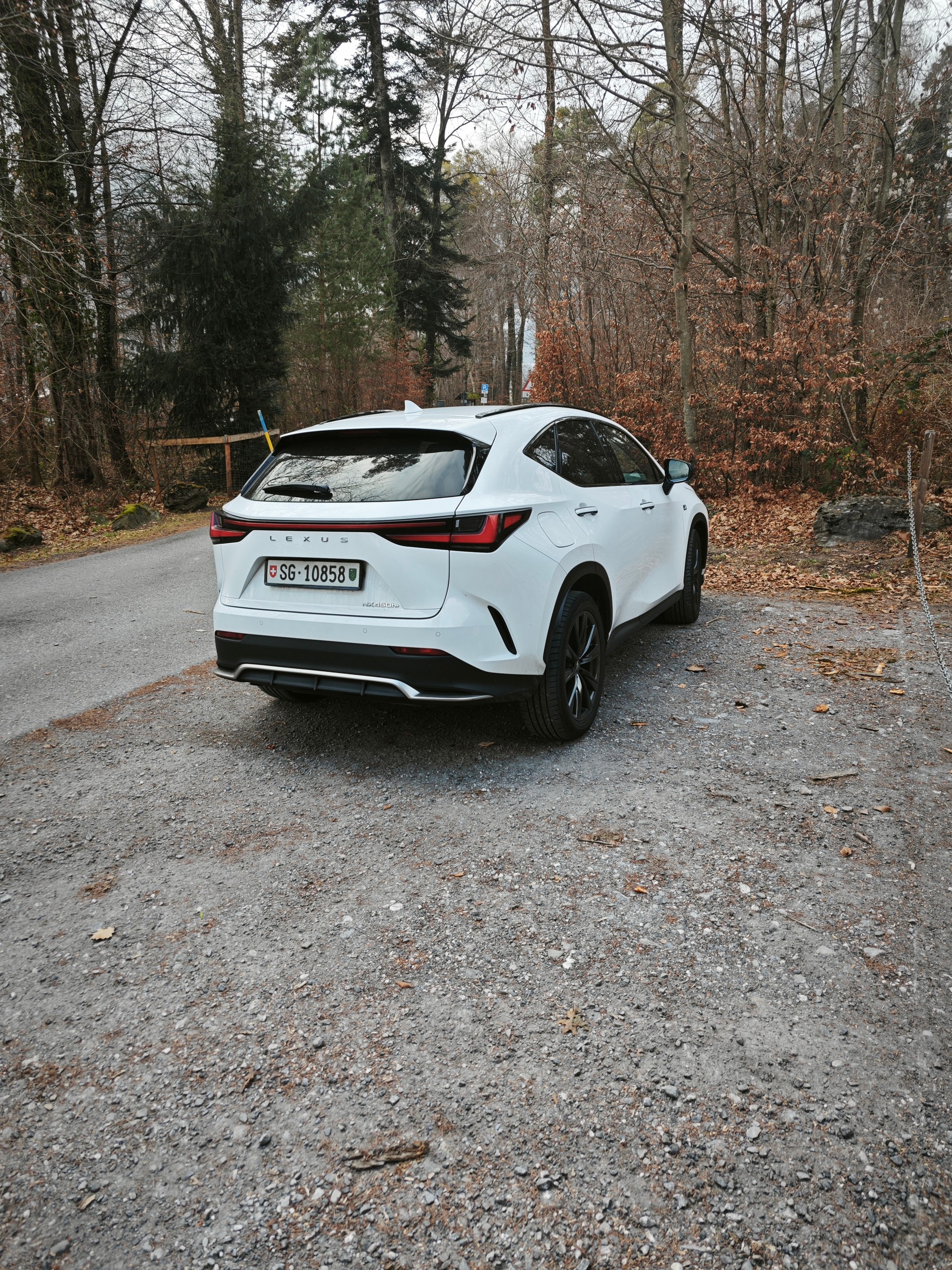 LEXUS NX 450+ F-Sport 4WD-image-5