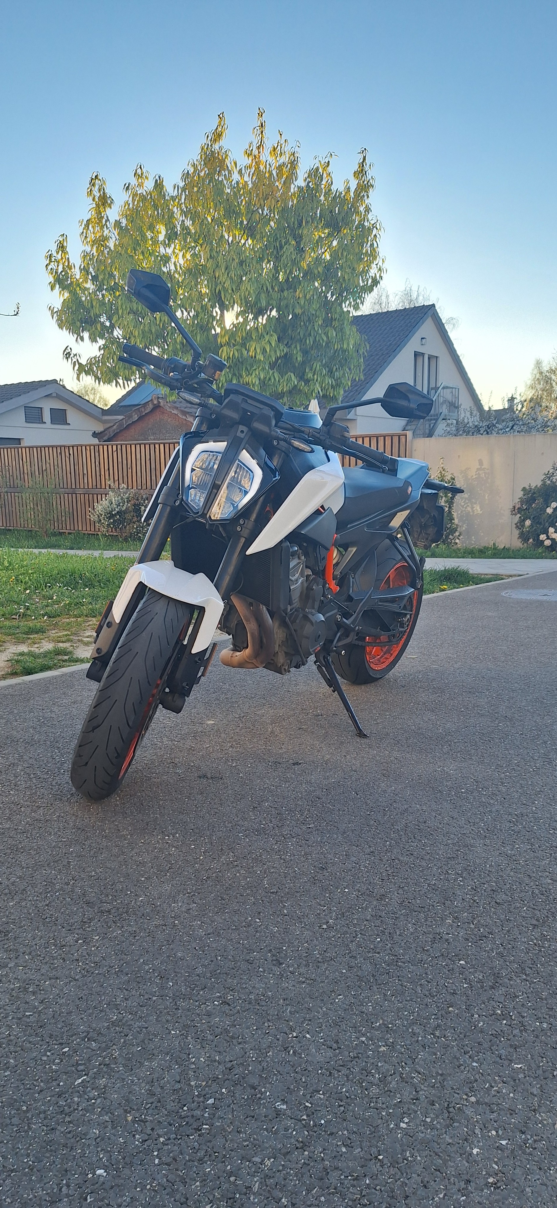 KTM 890 Duke R-image-1