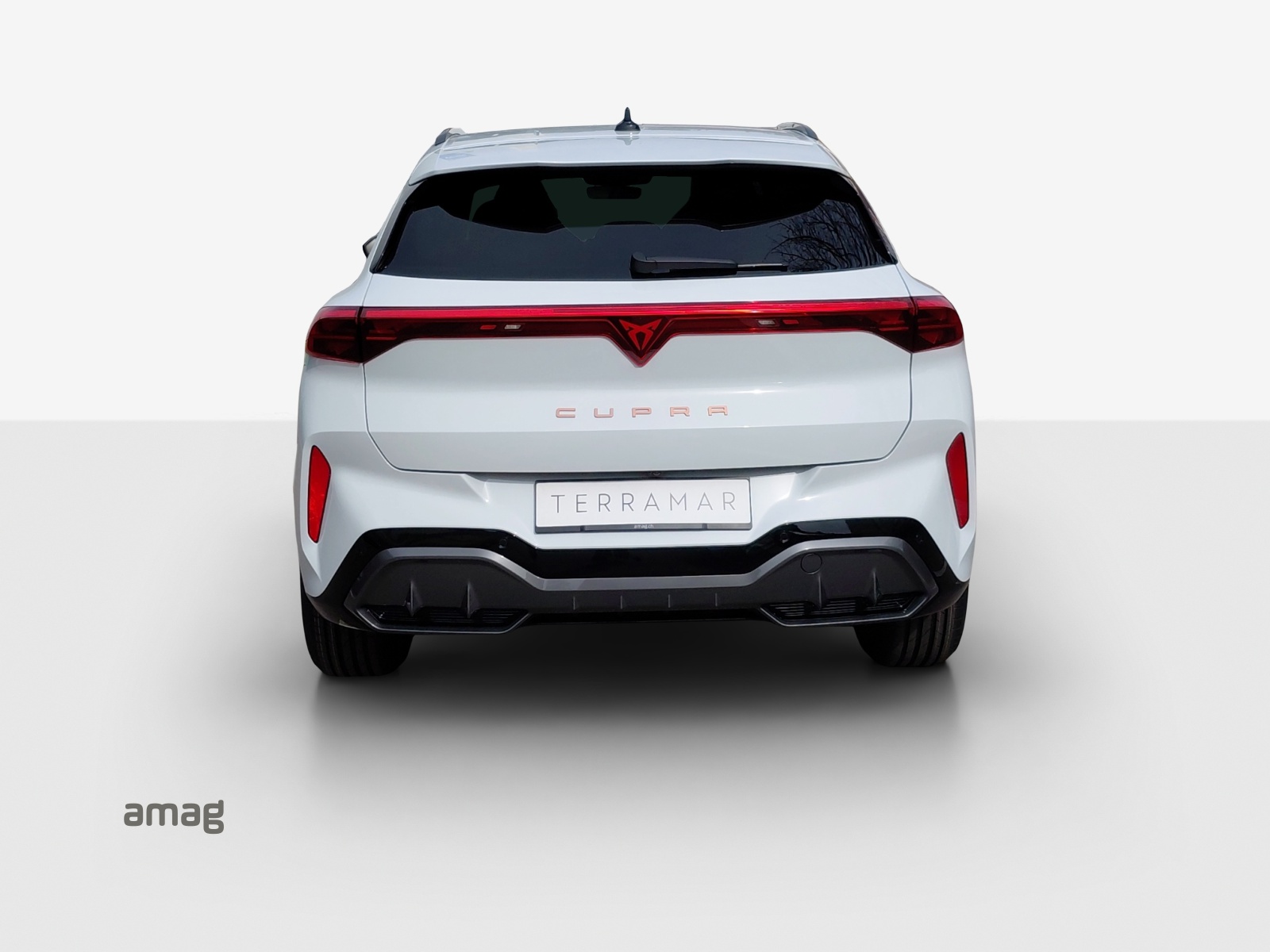 CUPRA Terramar 1.5 eHybrid DSG Business Edition-showroom-element-3