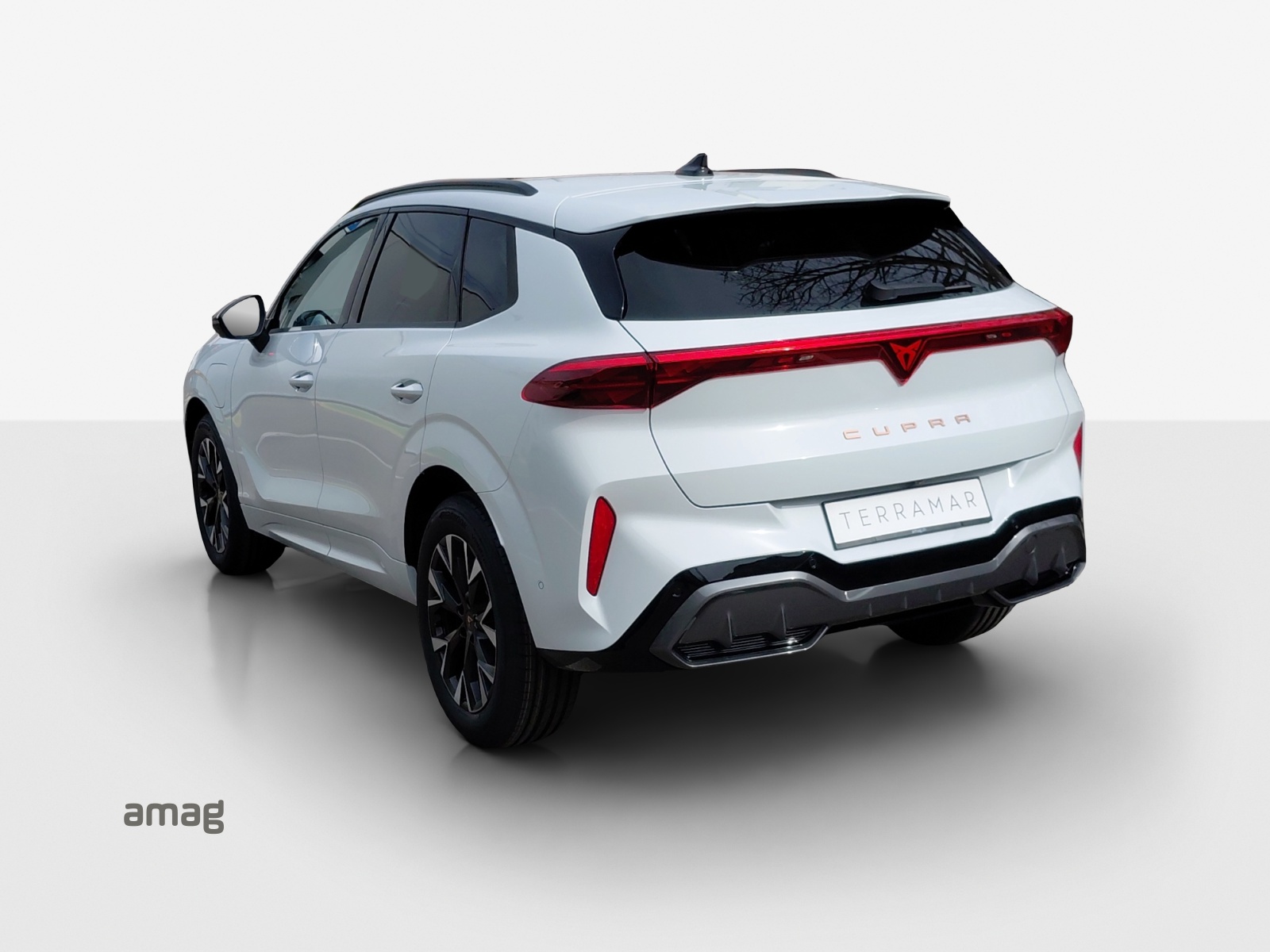 CUPRA Terramar 1.5 eHybrid DSG Business Edition-showroom-element-2
