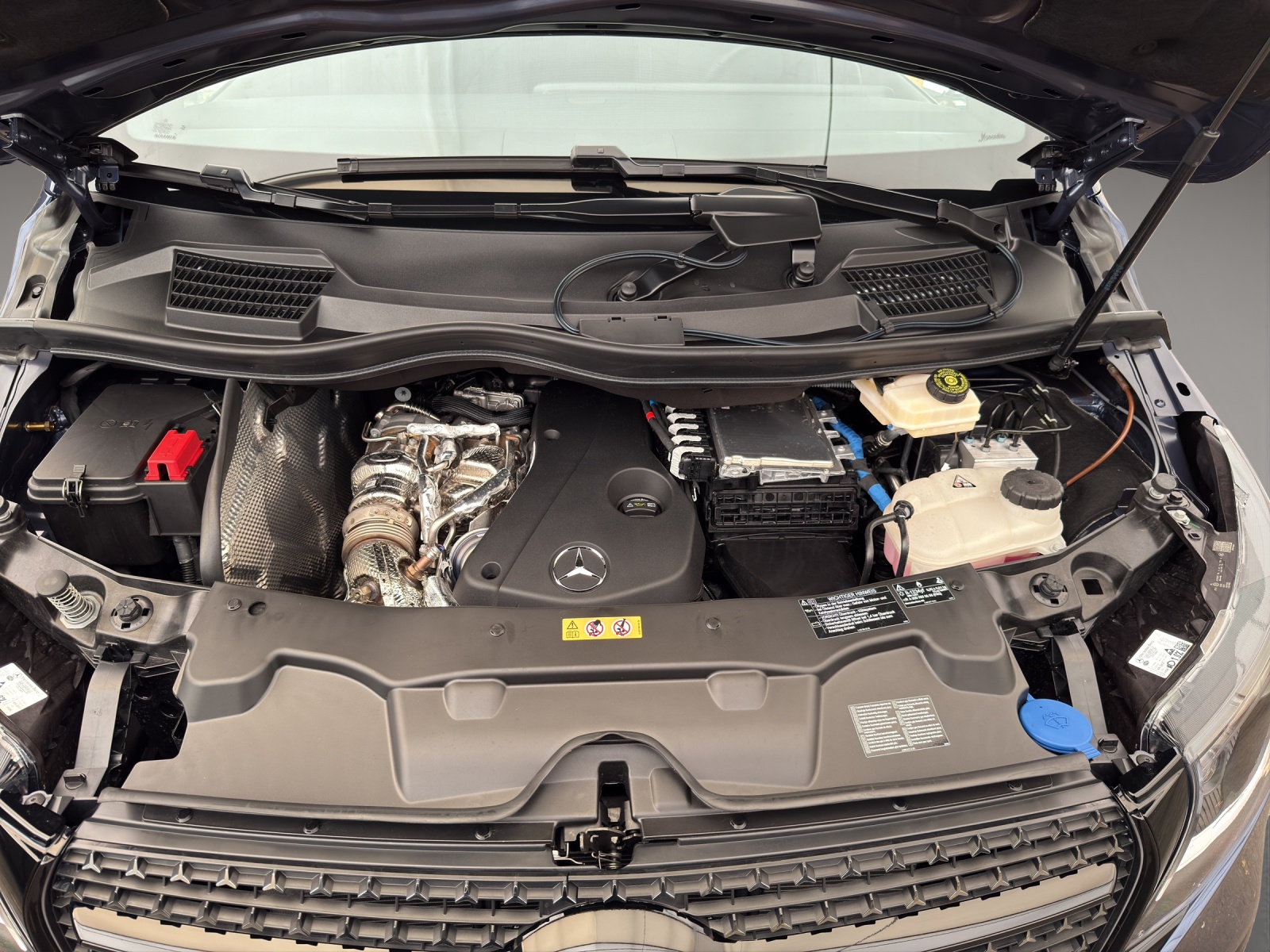 MERCEDES-BENZ V 300 d Avantgarde L 4Matic-image-12