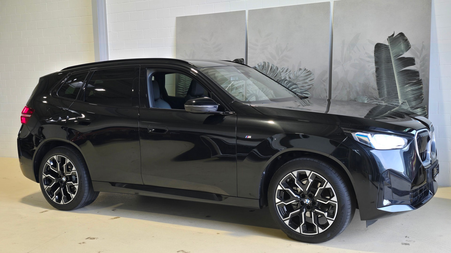 BMW X3 xDrive 48V 20d M Sport-showroom-element-1