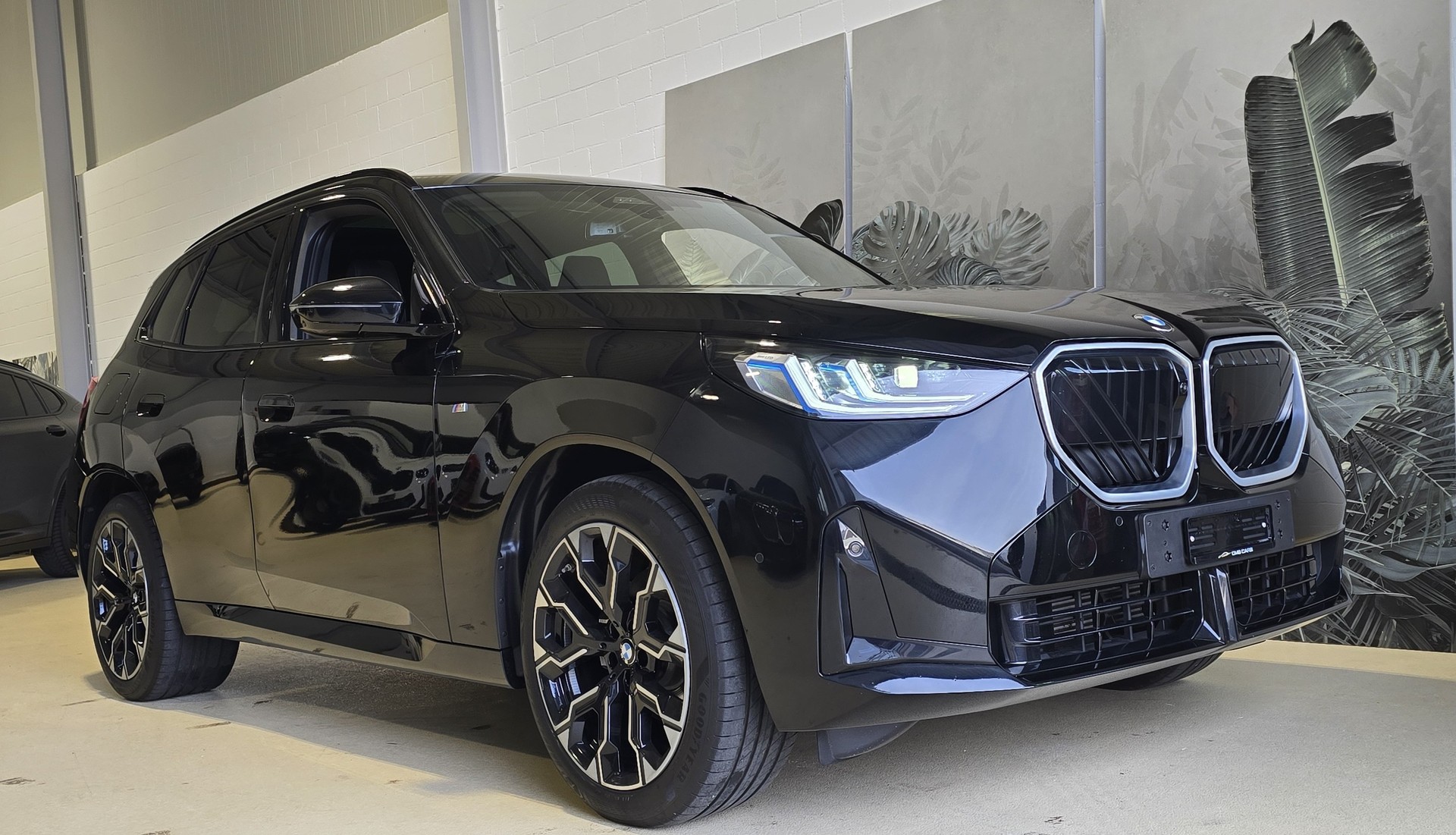 BMW X3 xDrive 48V 20d M Sport-showroom-element-2