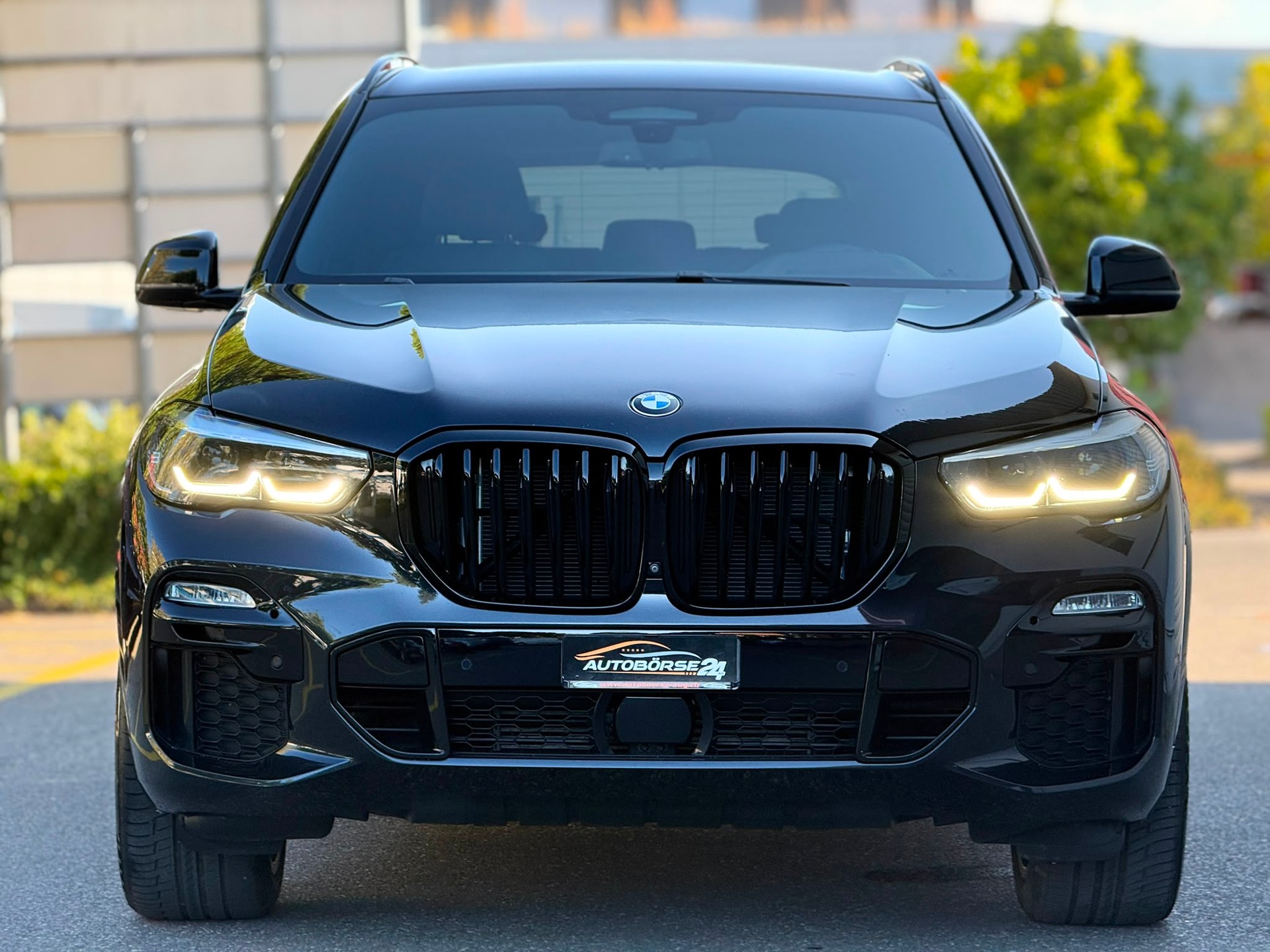BMW X5 30d xDrive SAG-showroom-element-2