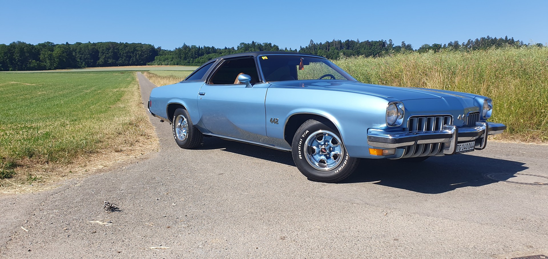 OLDSMOBILE Cutlass 442 big block 7.5 liter veteran fahrzeug-image-5