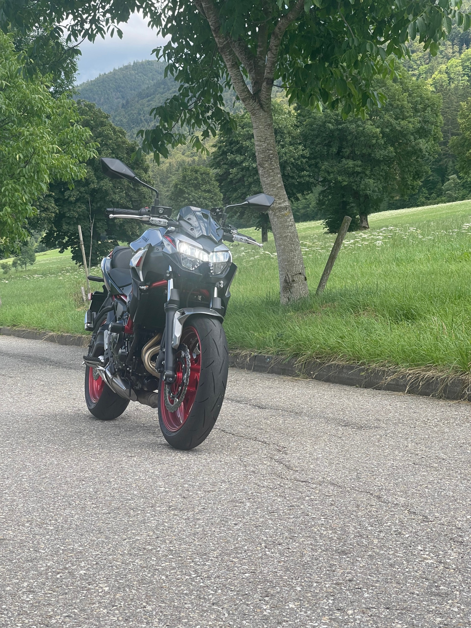 KAWASAKI Z 650 (35kW)-image-1