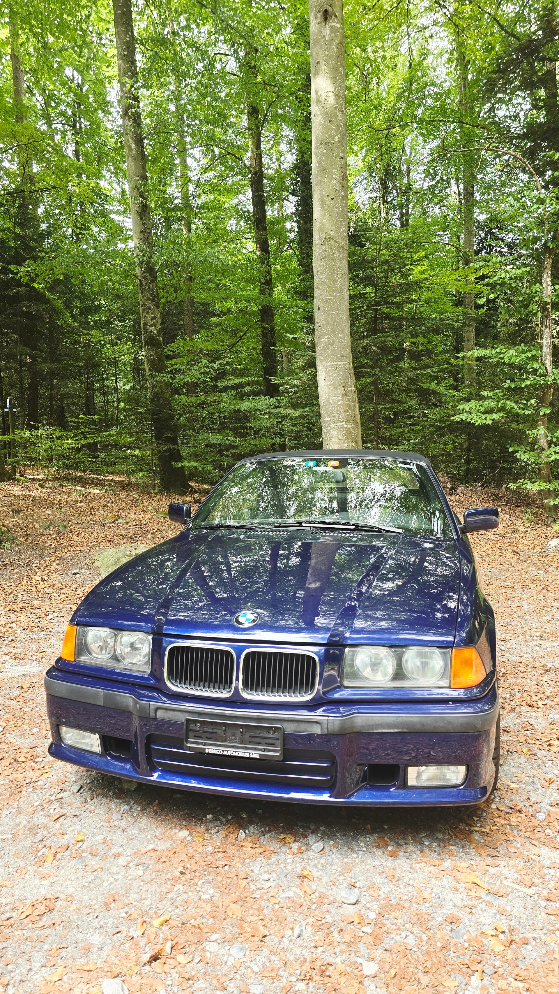 BMW 318i-image-2