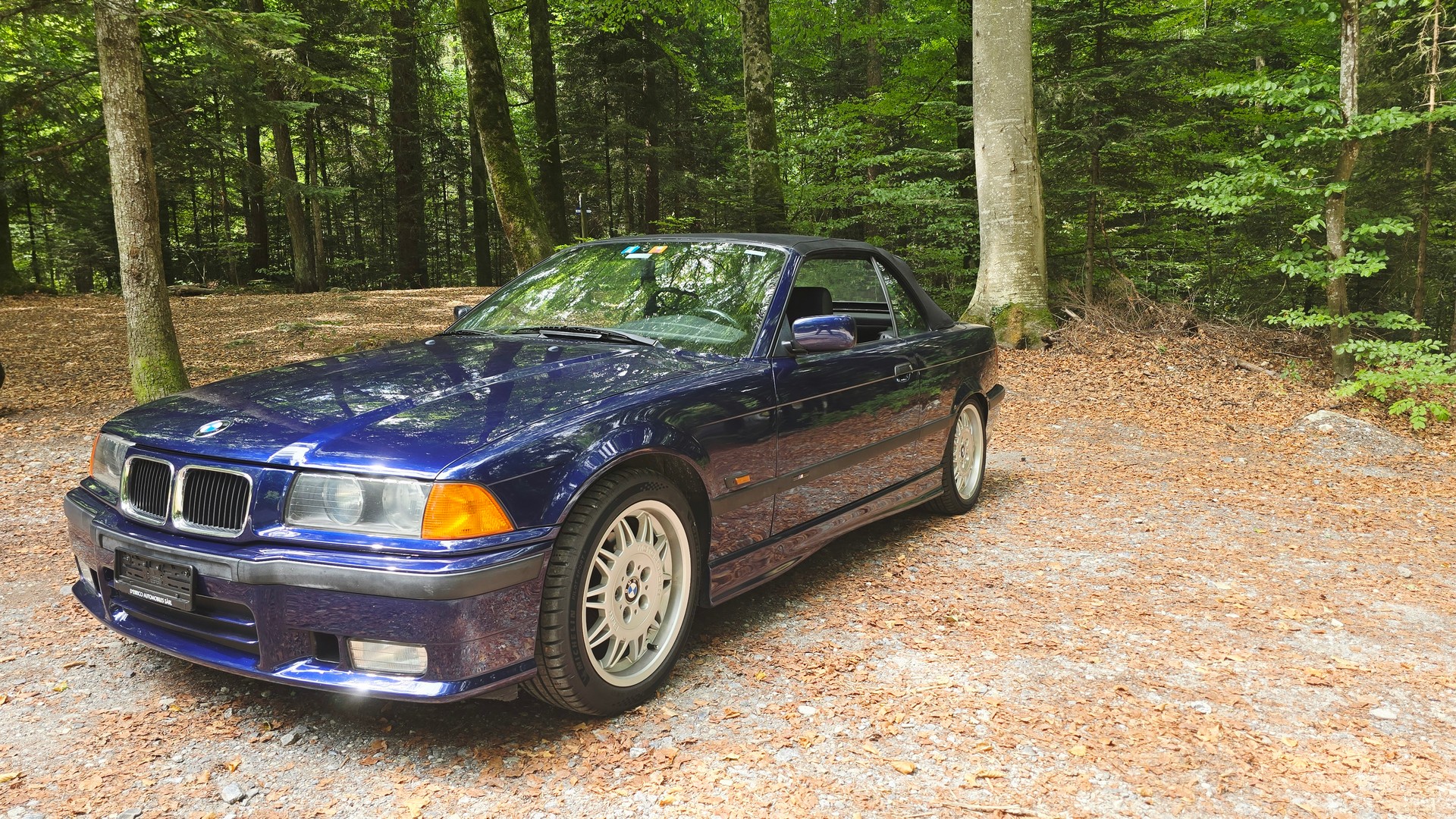 BMW 318i-image-3