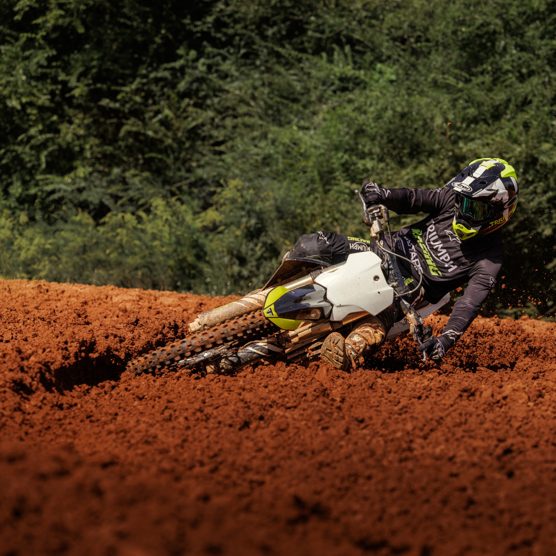 TRIUMPH TF-250X-image-4