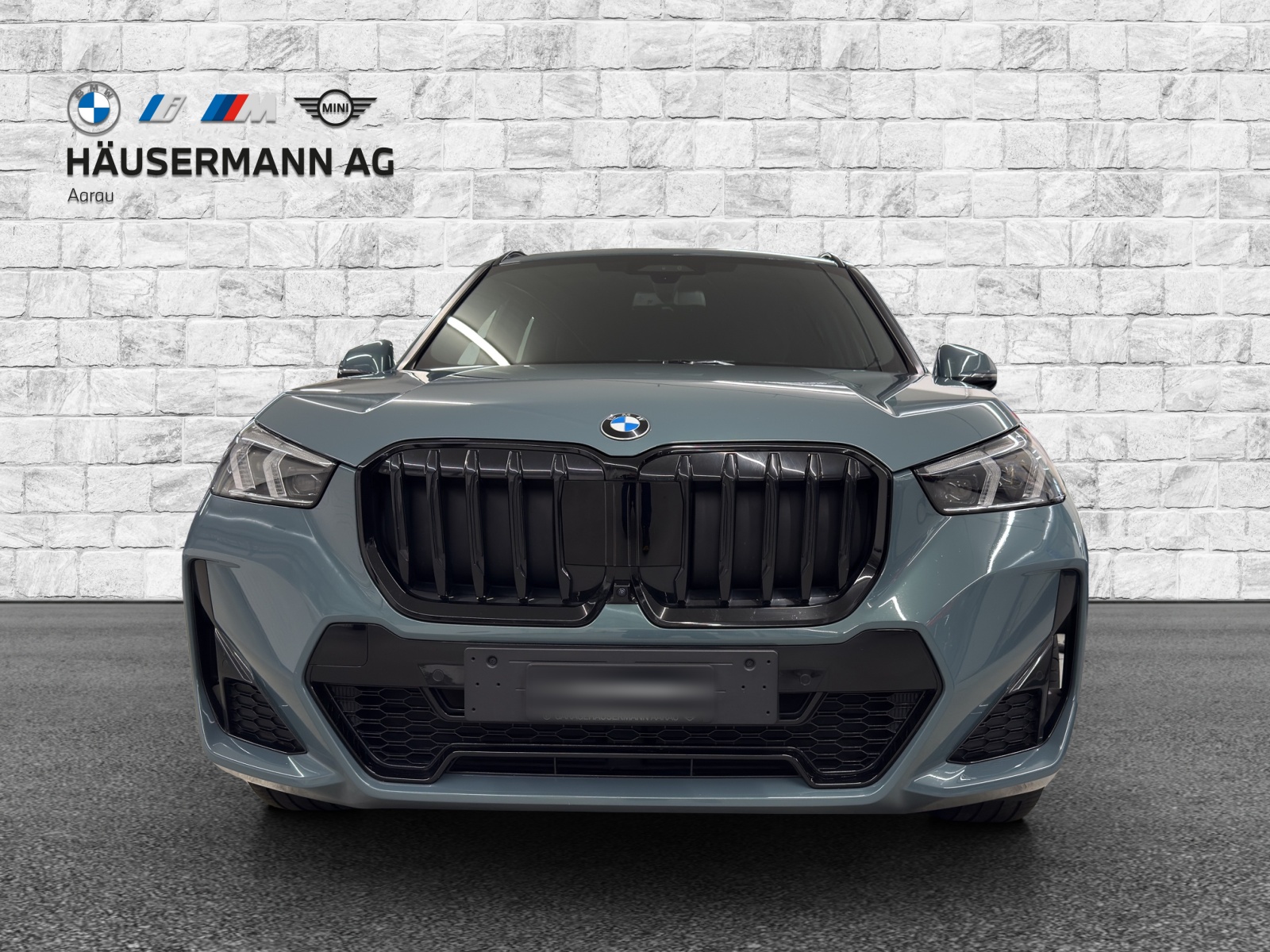 BMW X1 xDrive 23d 48V M Sport-showroom-element-1