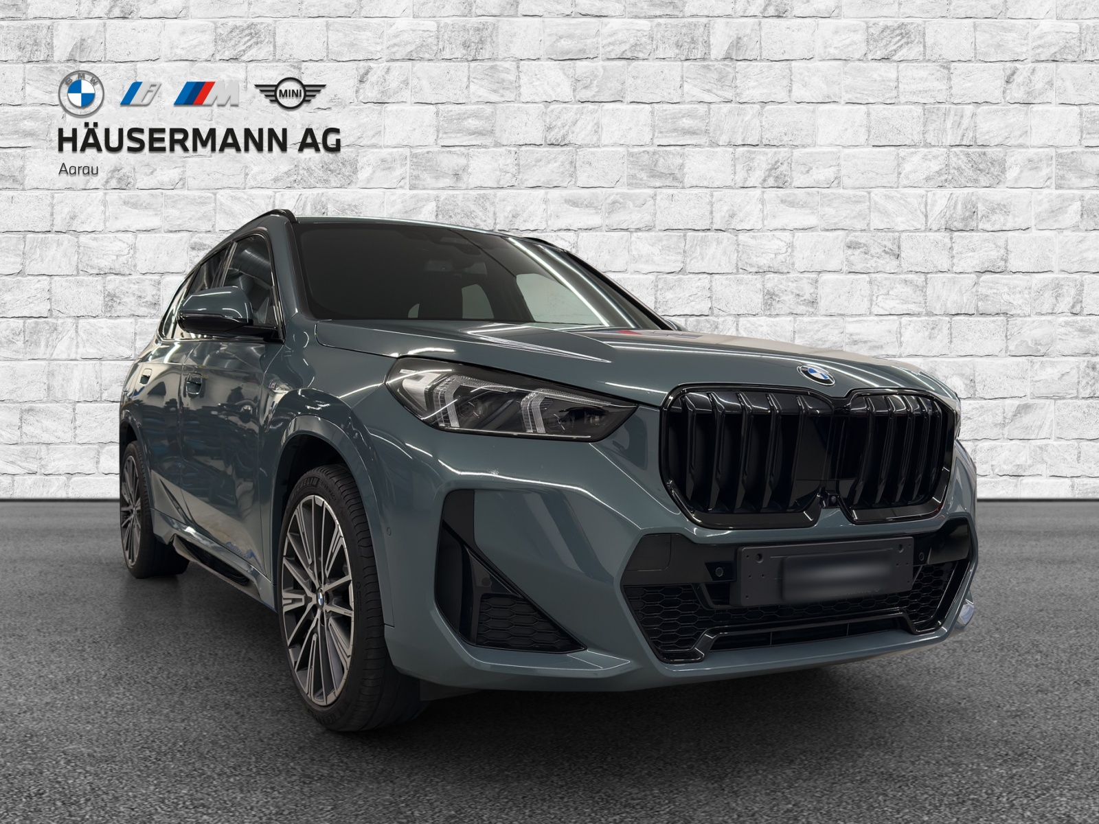 BMW X1 xDrive 23d 48V M Sport-showroom-element-2