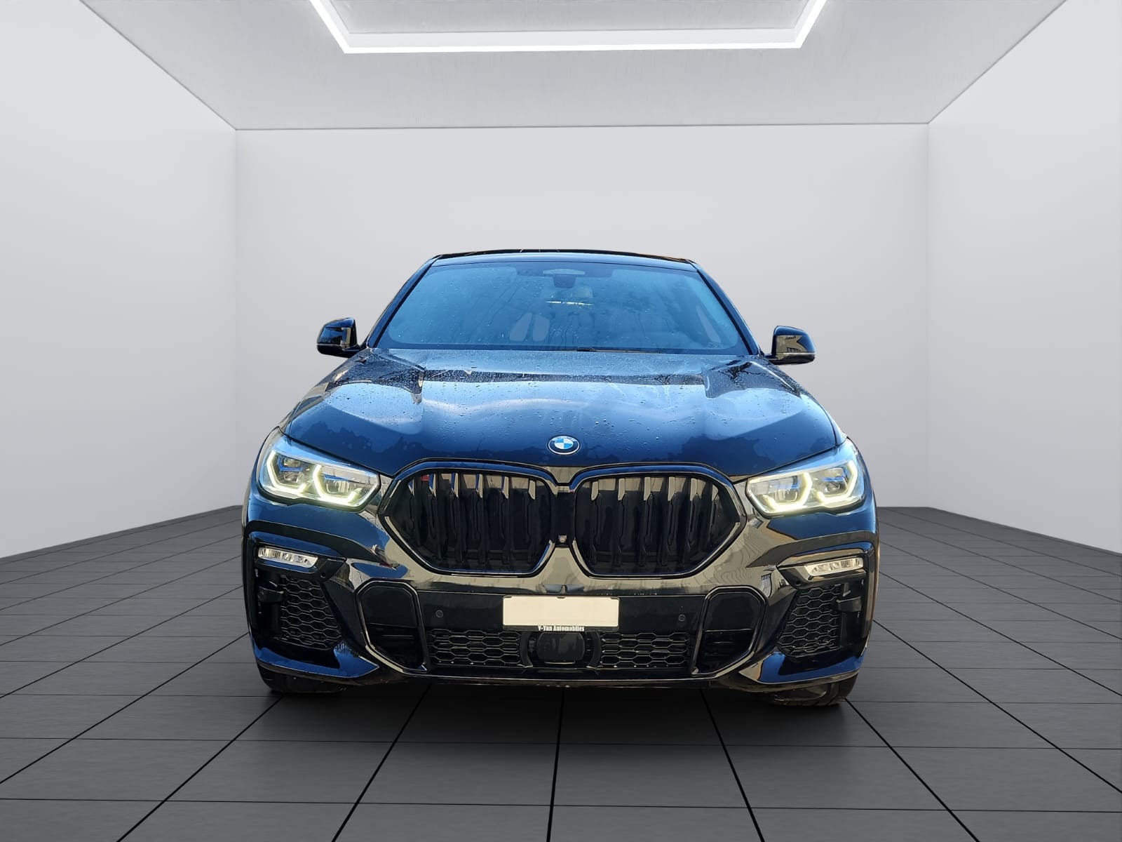 BMW X6 xDrive 30d xLine Steptronic-showroom-element-1