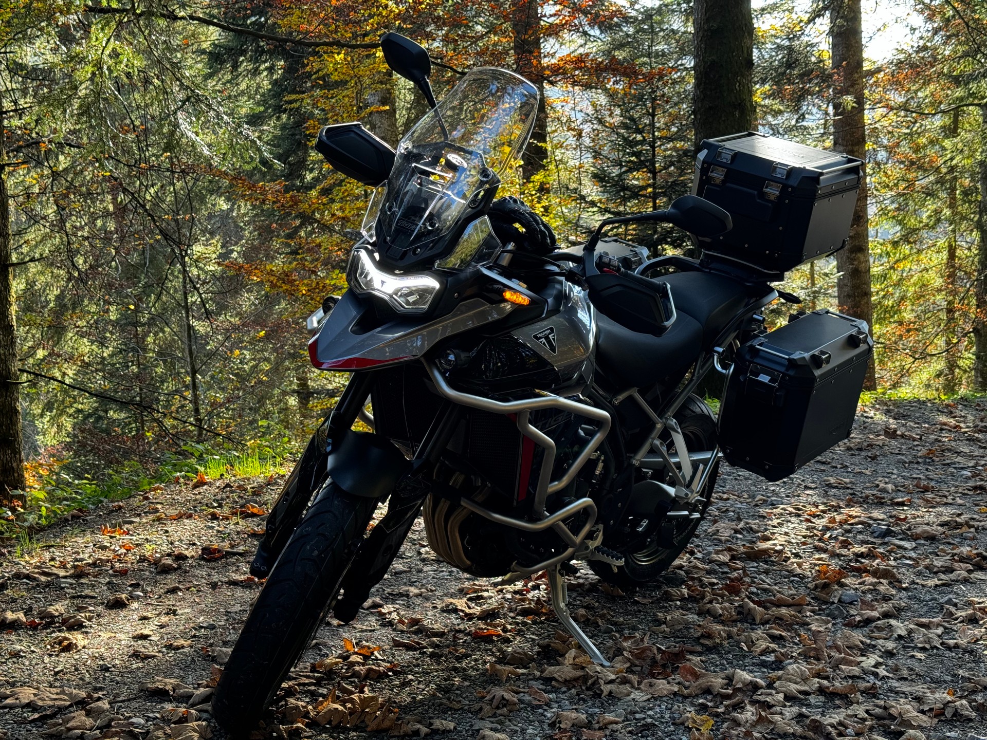 TRIUMPH Tiger 900 GT Pro-image-0