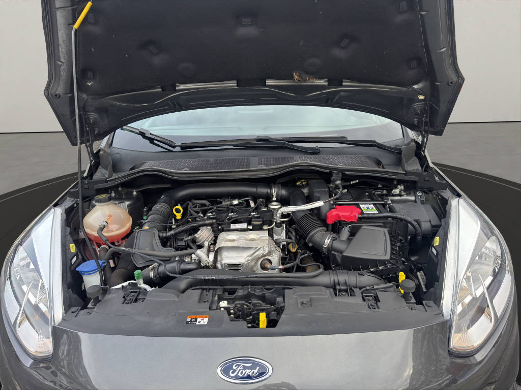 FORD Fiesta 1.0 EcoB 100 ST-Line-image-19