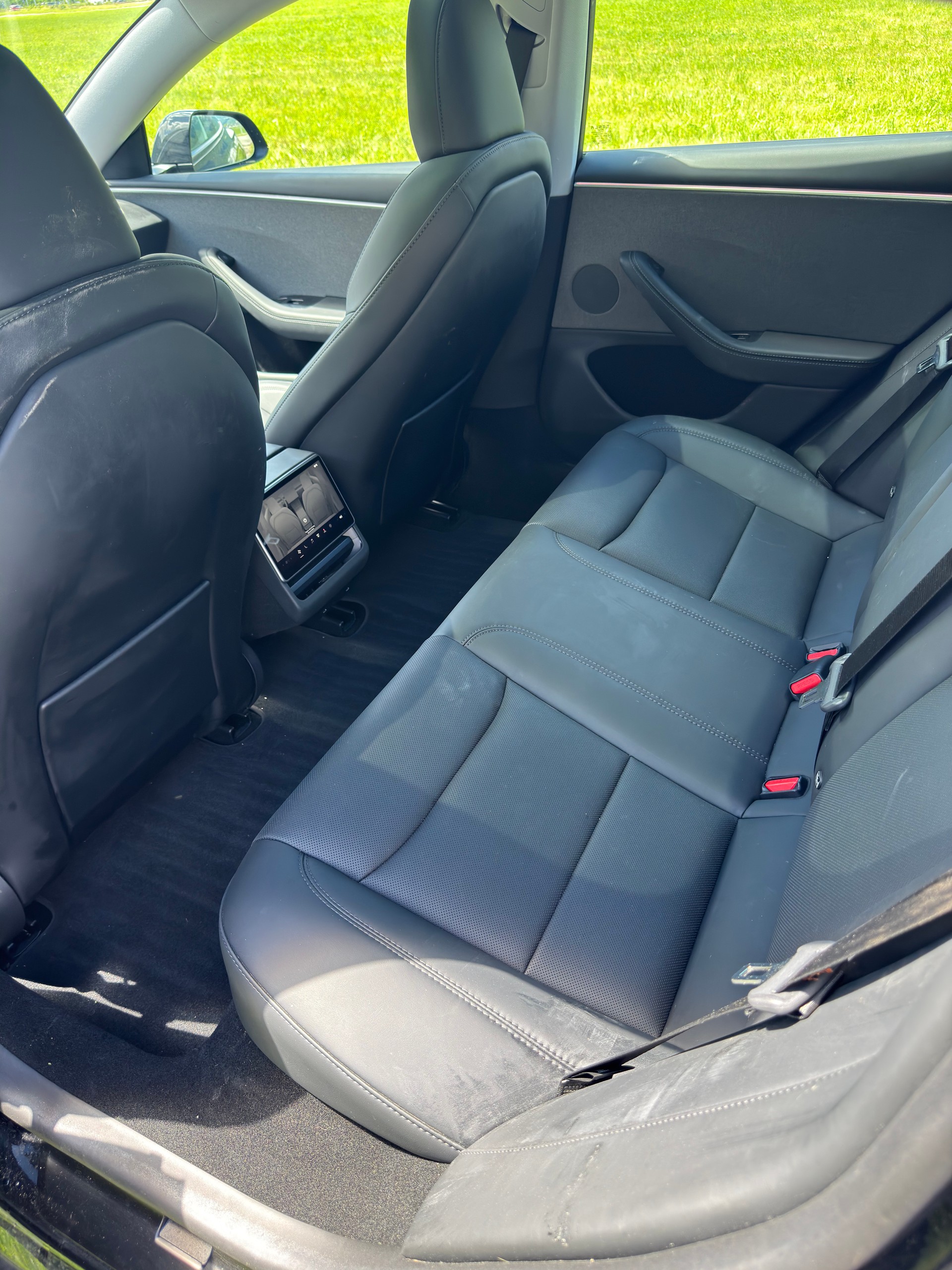 TESLA RWD (2025 Premium)-image-4