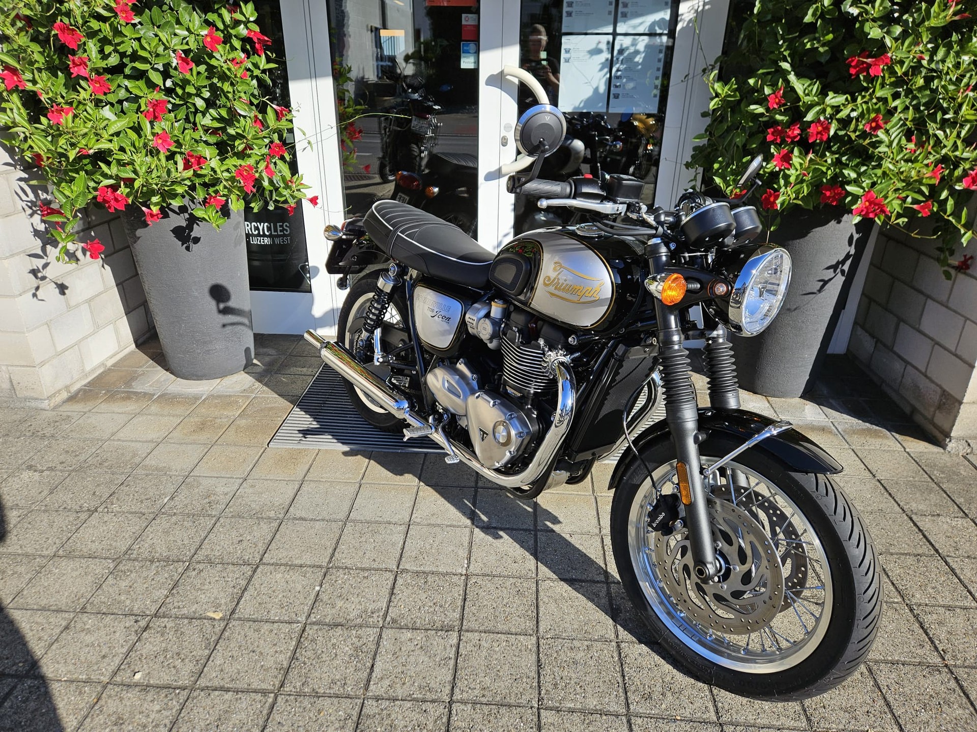 TRIUMPH Bonneville T120-image-2