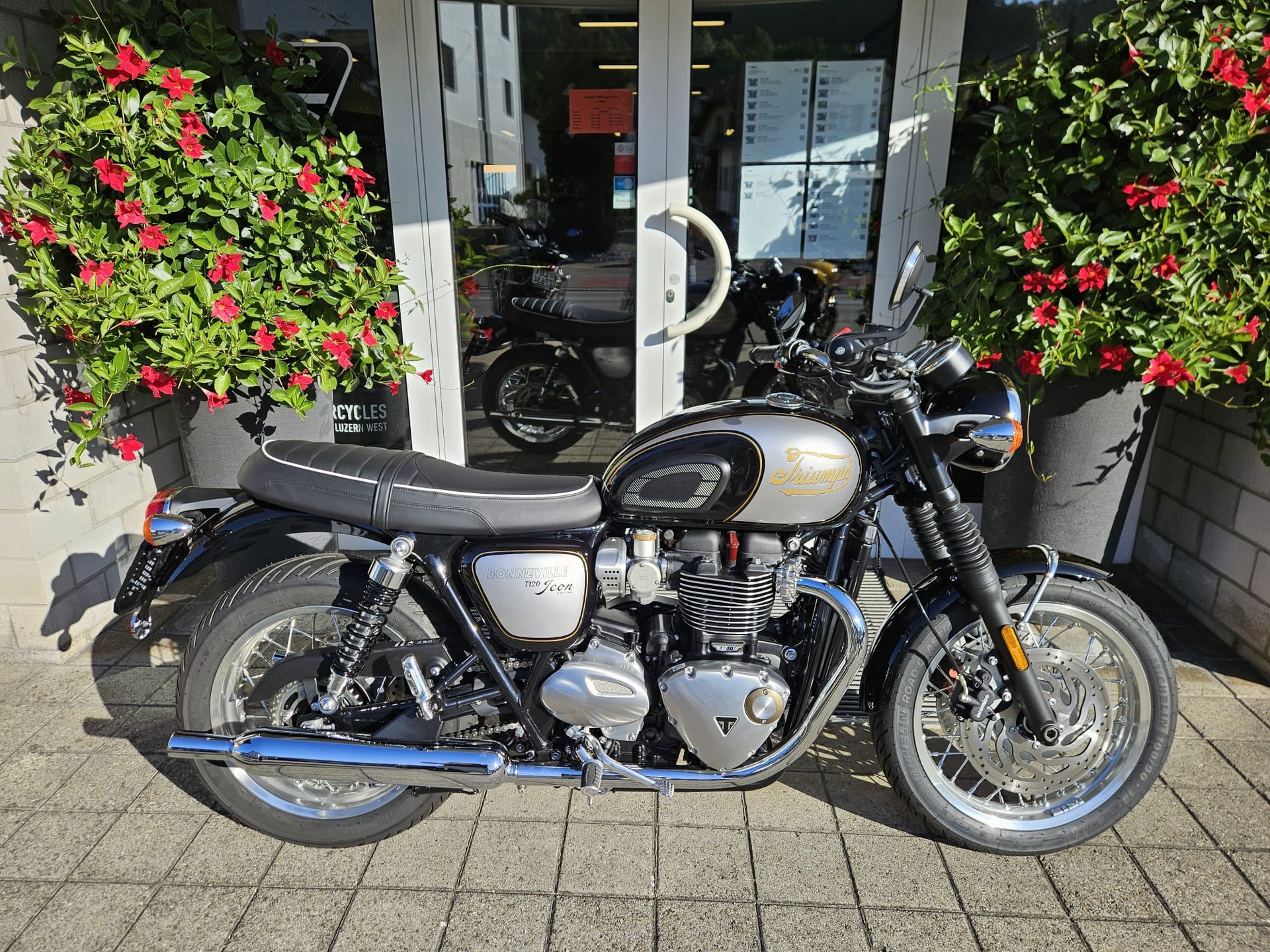 TRIUMPH Bonneville T120-image-1
