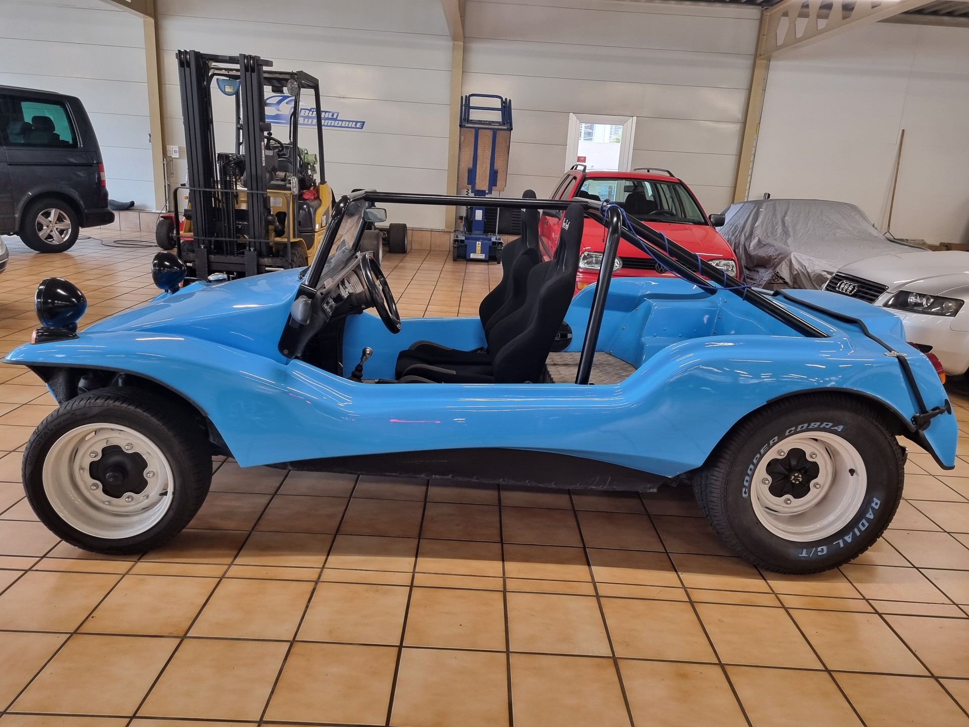 APAL BUGGY L-image-3
