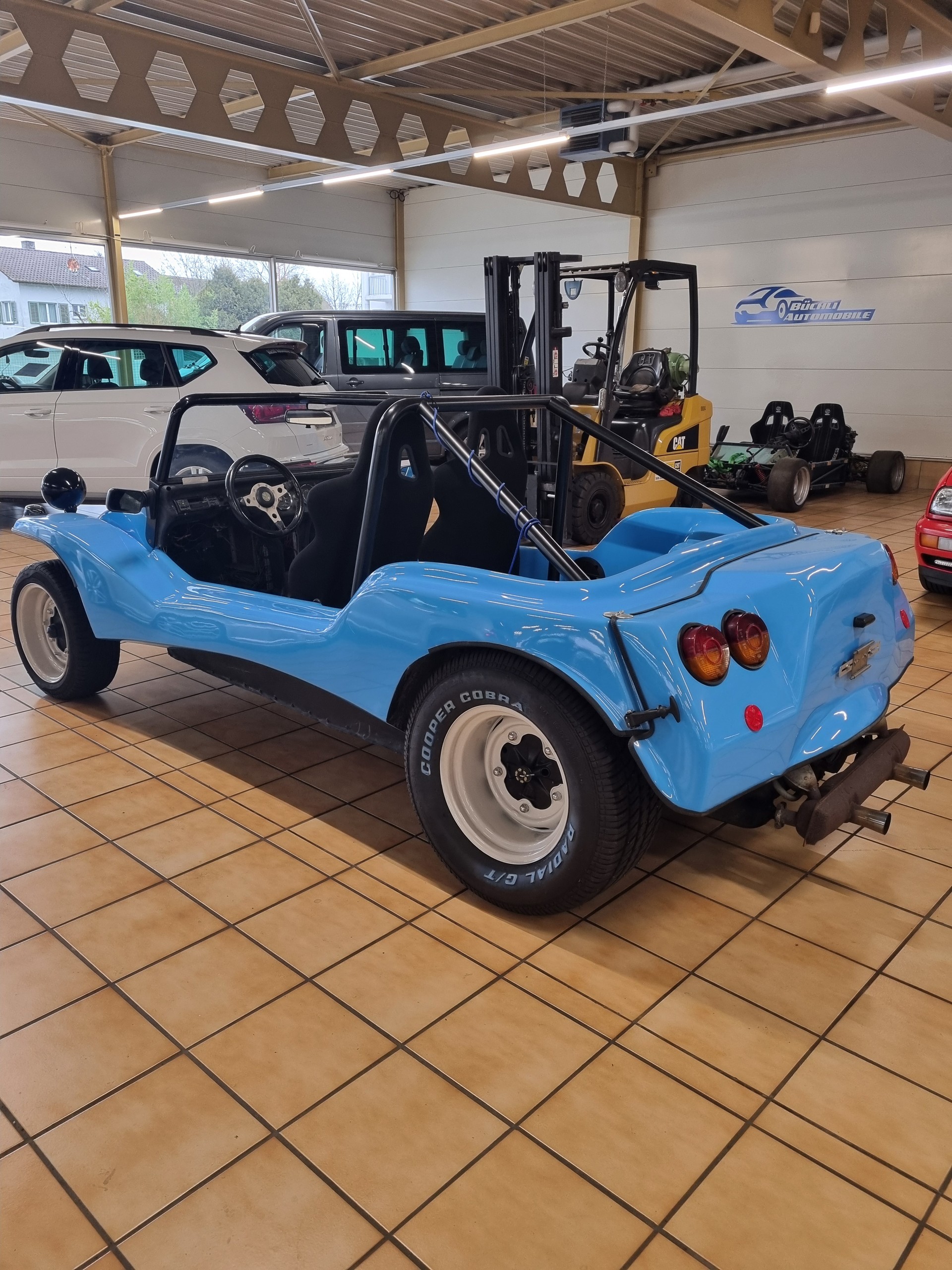 APAL BUGGY L-image-4