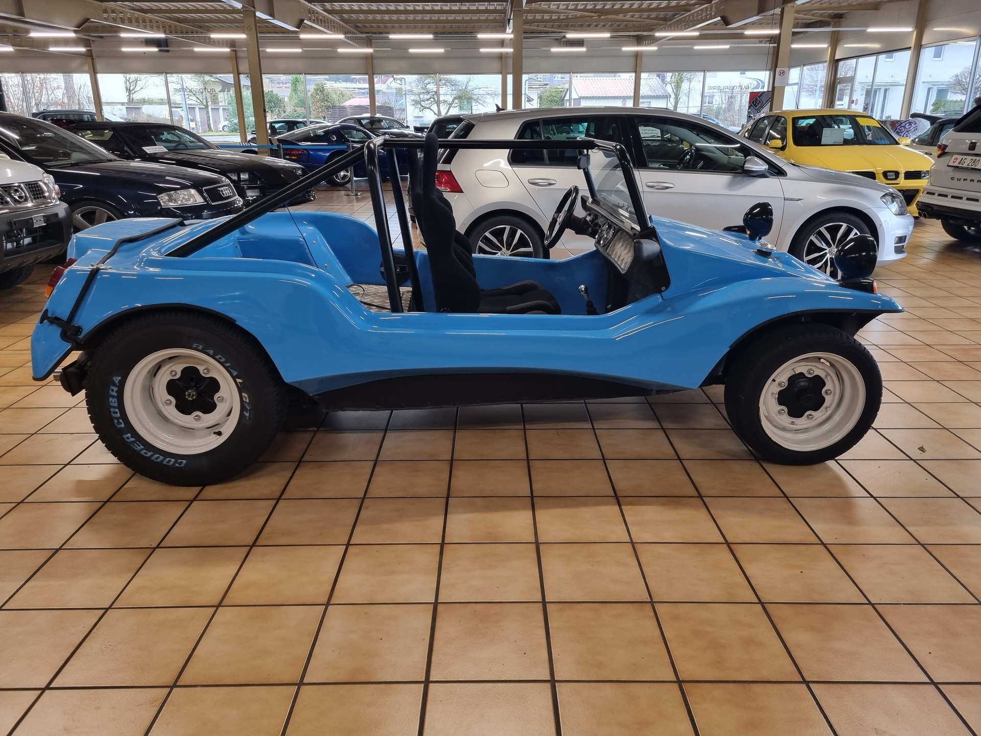 APAL BUGGY L-image-7