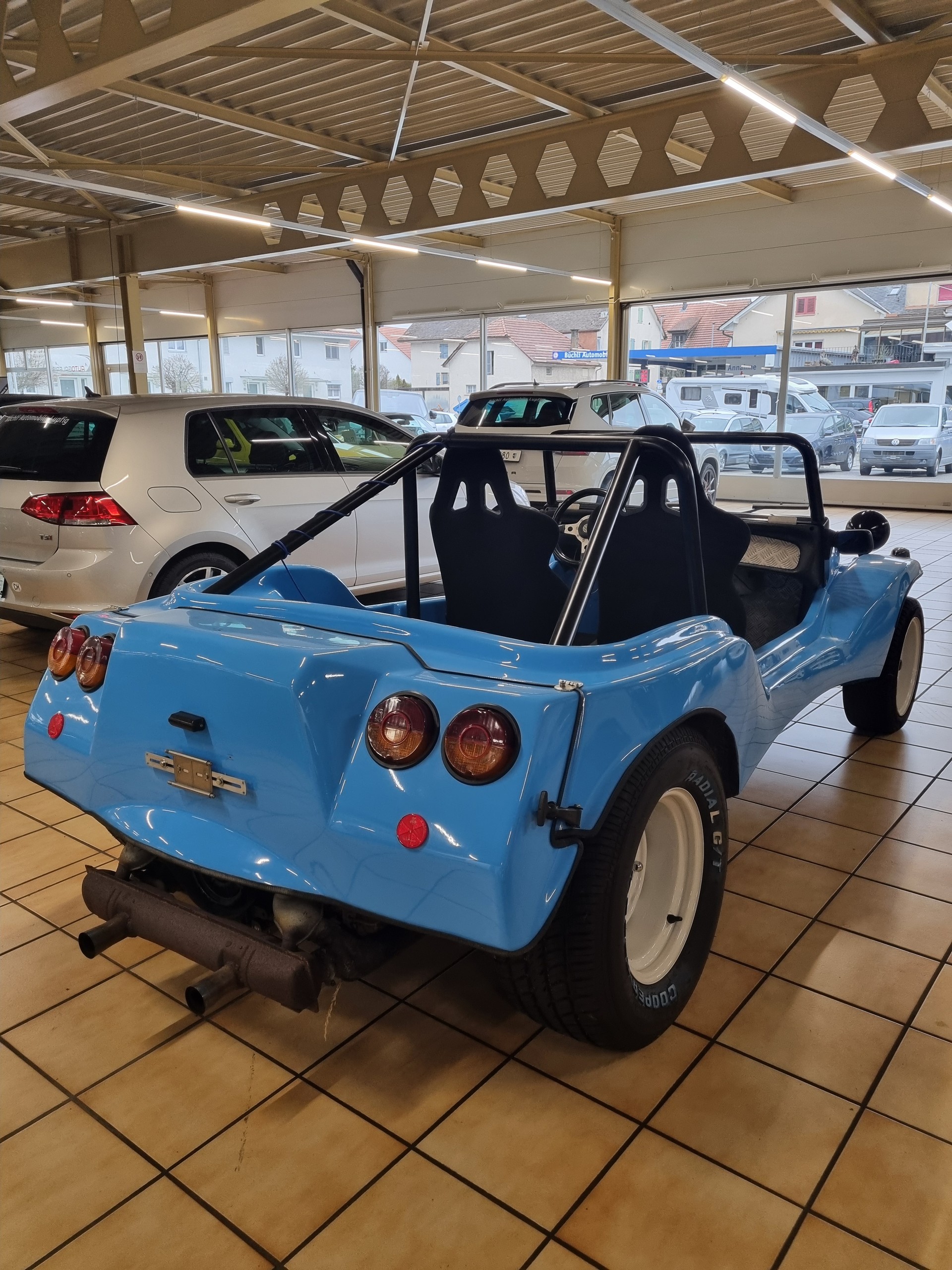 APAL BUGGY L-image-6