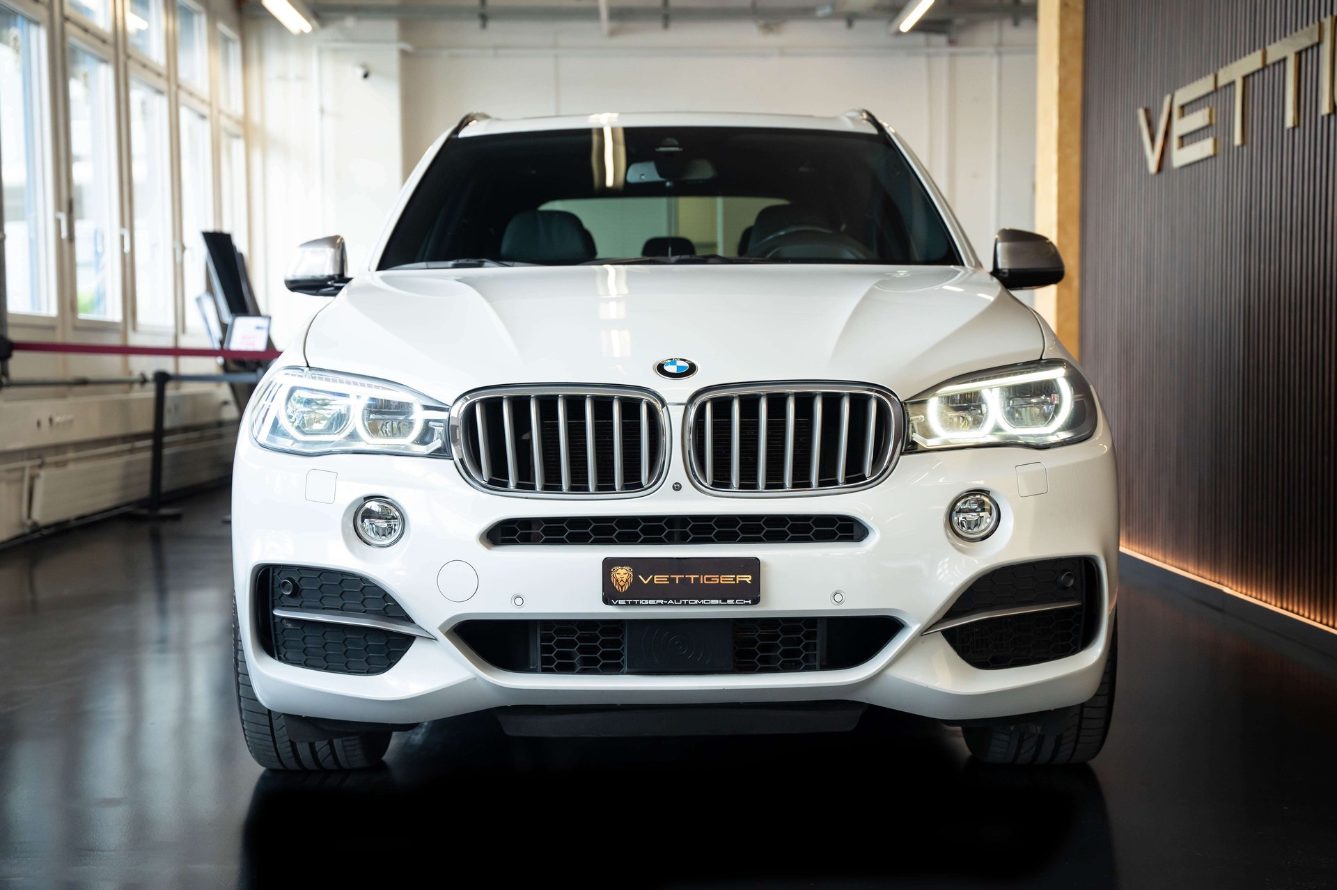 BMW X5 xDrive M50d Steptronic-showroom-element-1