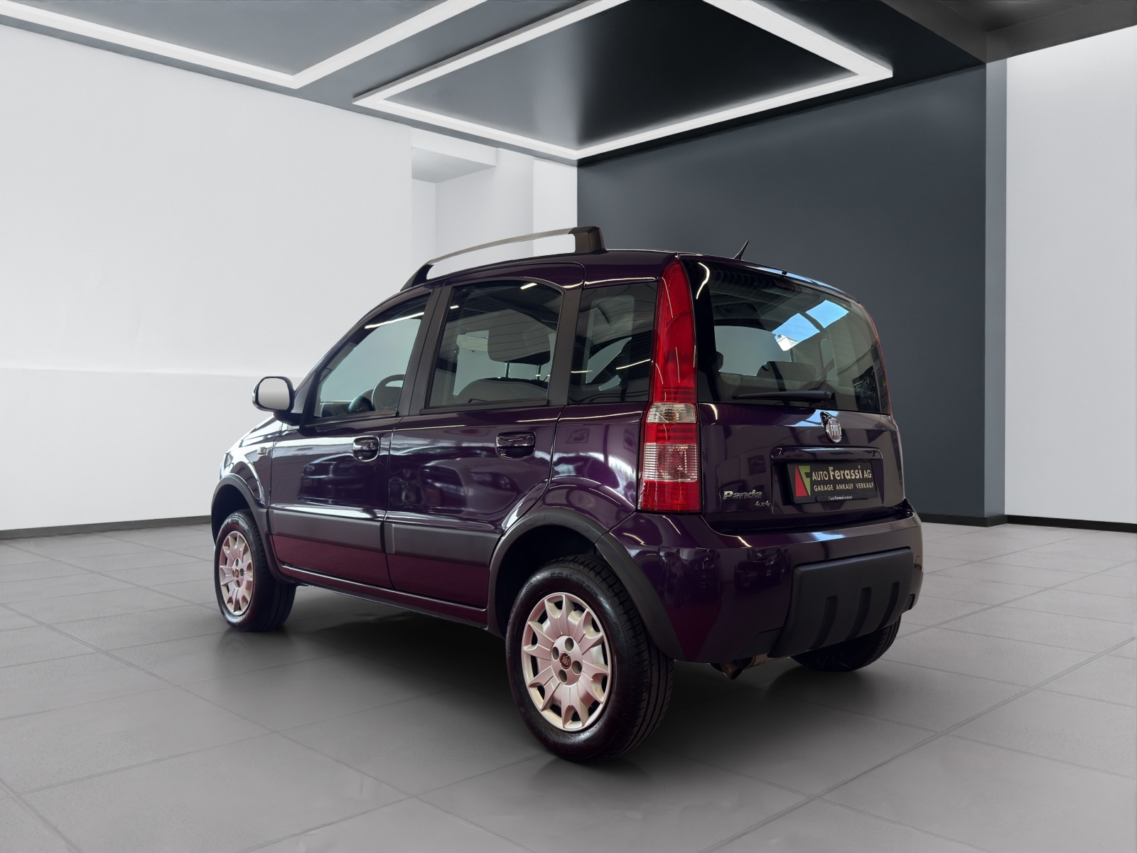 FIAT Panda 1.3 16V JTD Climbing 4x4-showroom-element-3