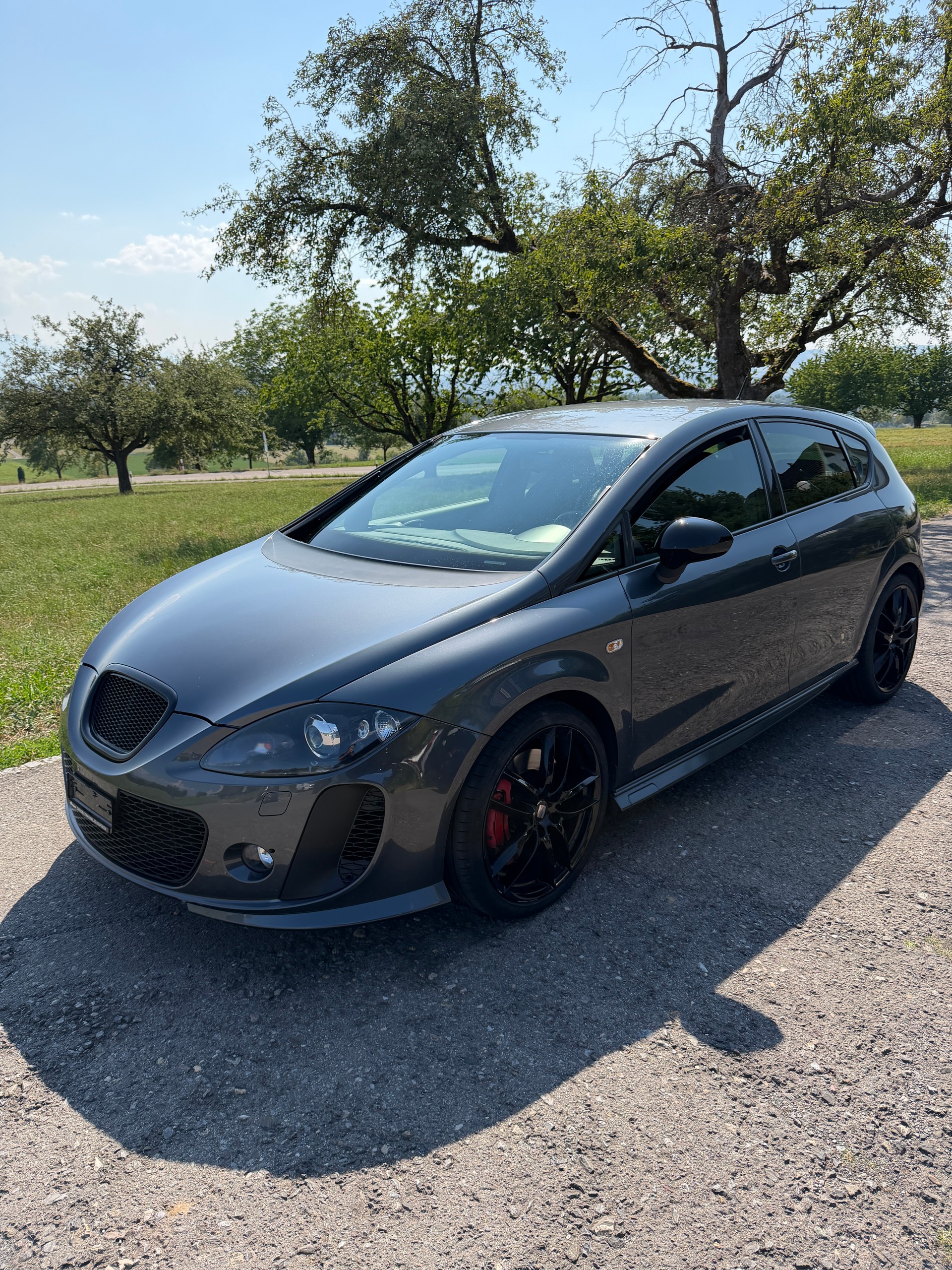 SEAT Leon 2.0 TSI Cupra R