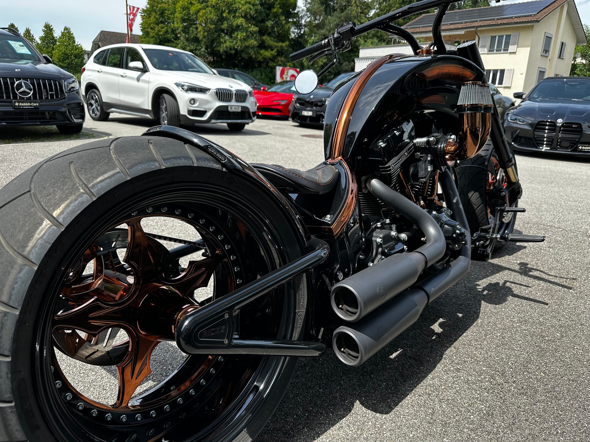 HARLEY-DAVIDSON FLSS Softail BÜNDNERBIKE CUSTOM-image-10