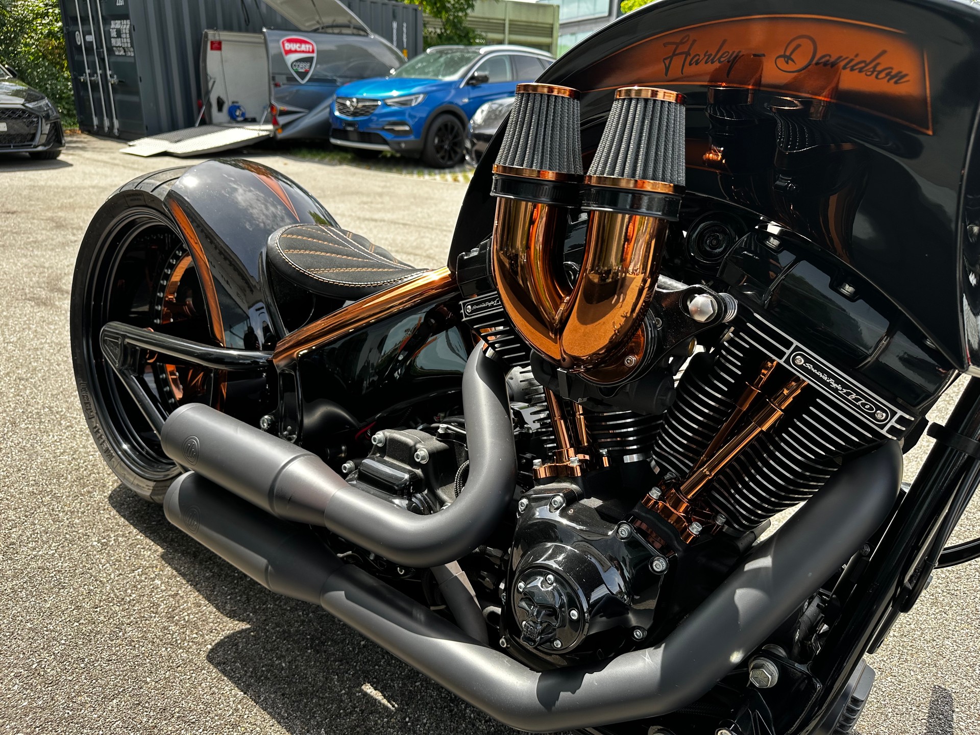 HARLEY-DAVIDSON FLSS Softail BÜNDNERBIKE CUSTOM-image-11