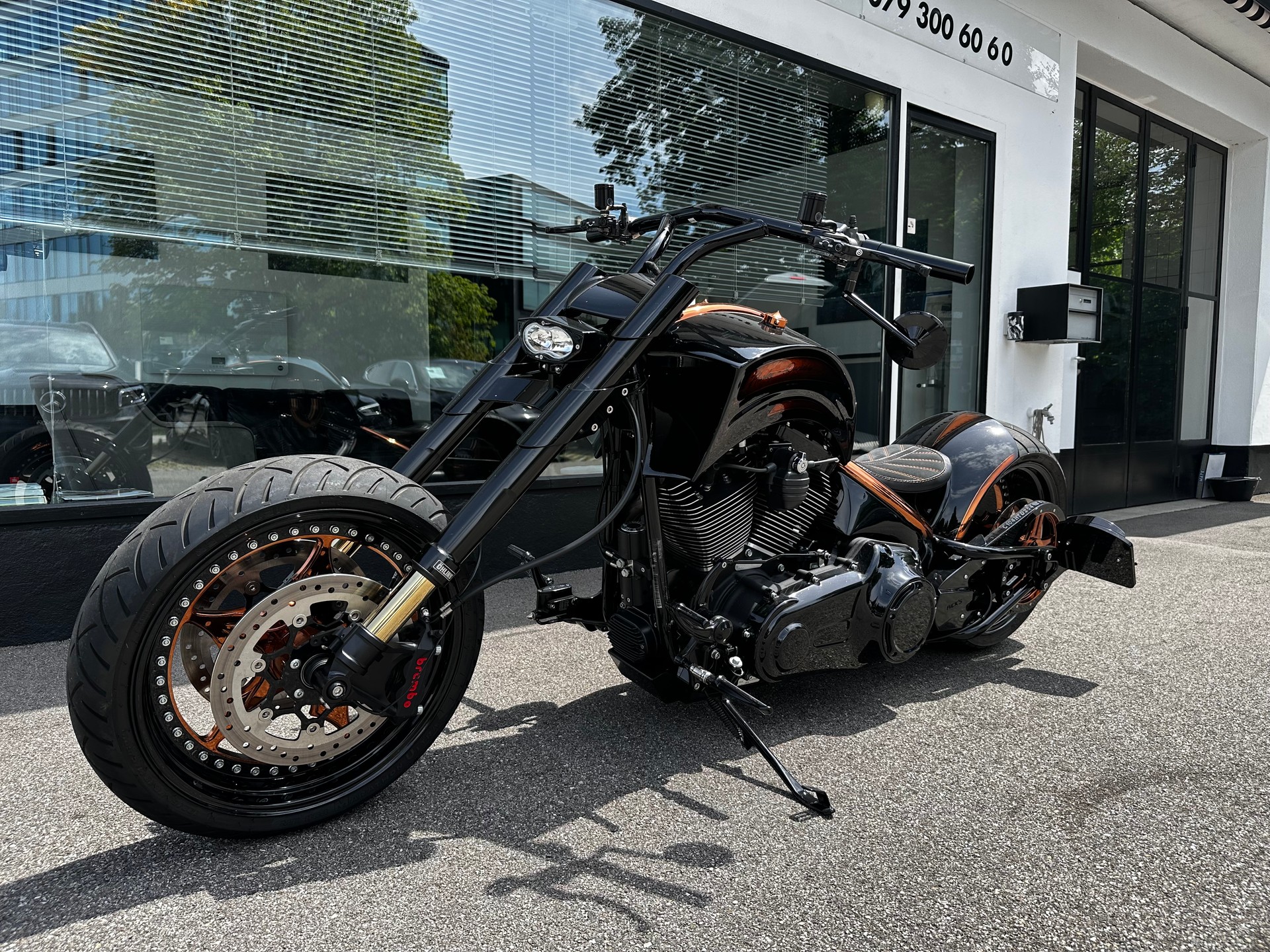 HARLEY-DAVIDSON FLSS Softail BÜNDNERBIKE CUSTOM-image-2