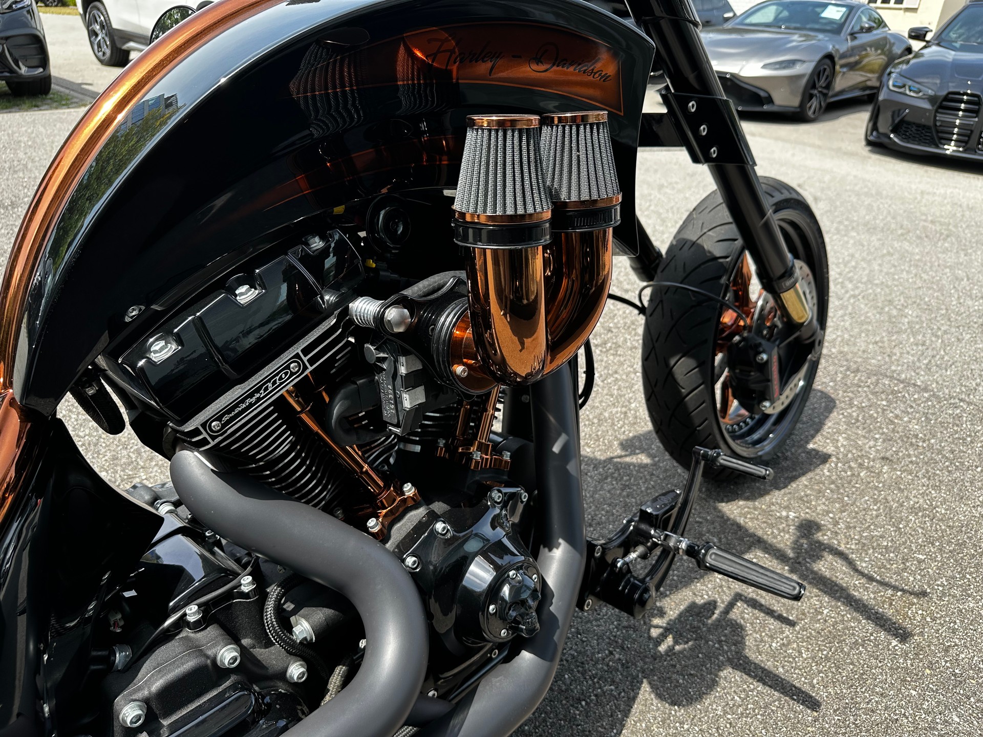 HARLEY-DAVIDSON FLSS Softail BÜNDNERBIKE CUSTOM-image-12