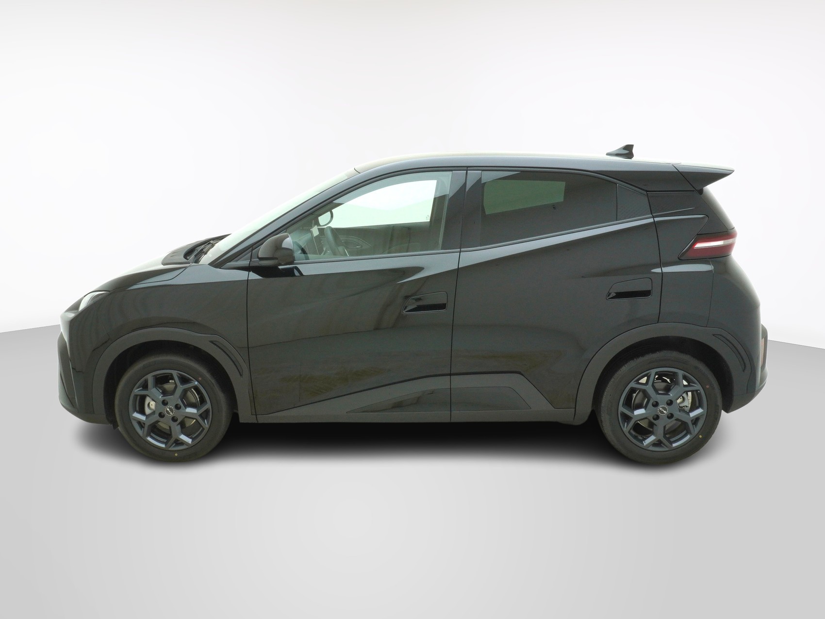BYD Dolphin Surf Comfort-showroom-element-1