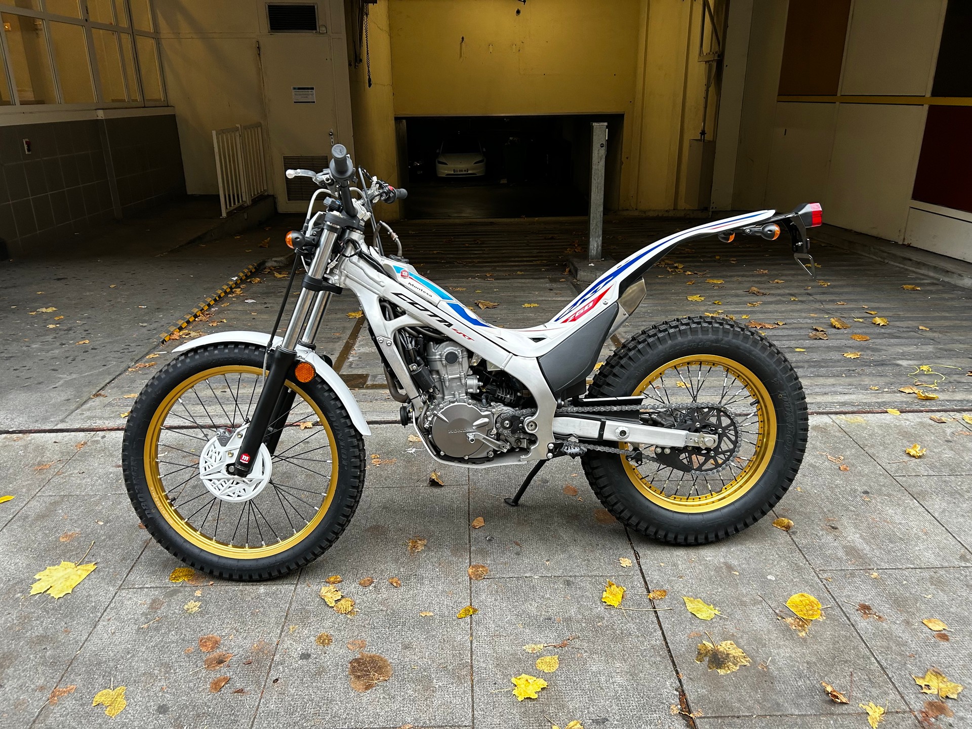 MONTESA-image-1