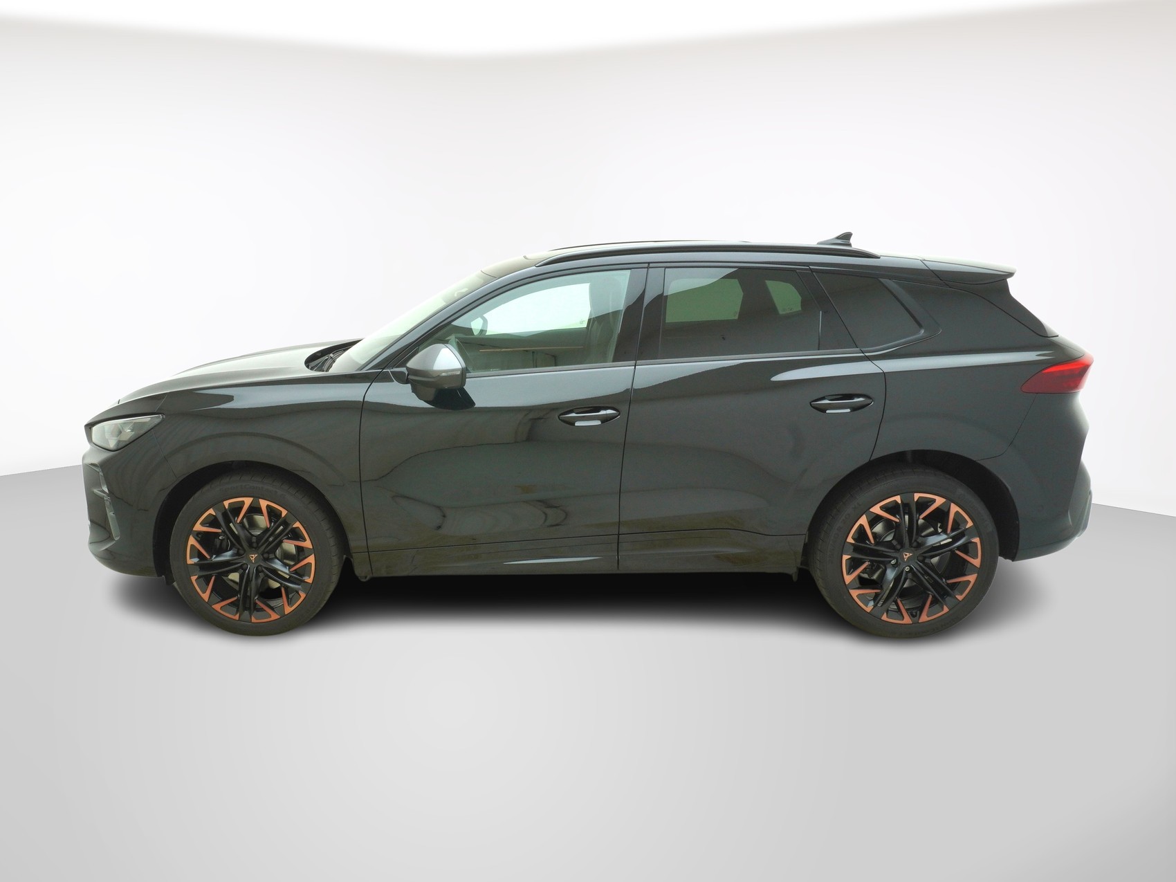CUPRA Terramar 2.0 TSI VZ 4Drive DSG-showroom-element-1