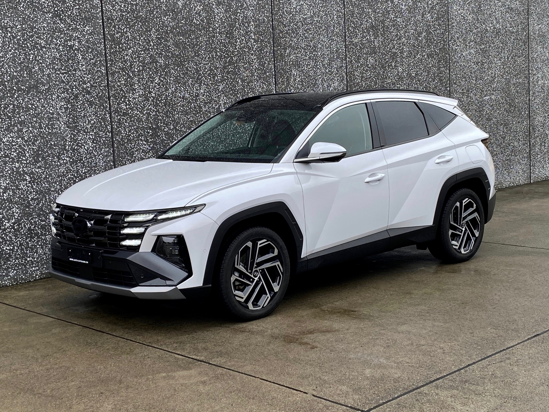 HYUNDAI Tucson 1.6 T- GDI *PlugInHybrid*Swiss*Vertex*4WD*